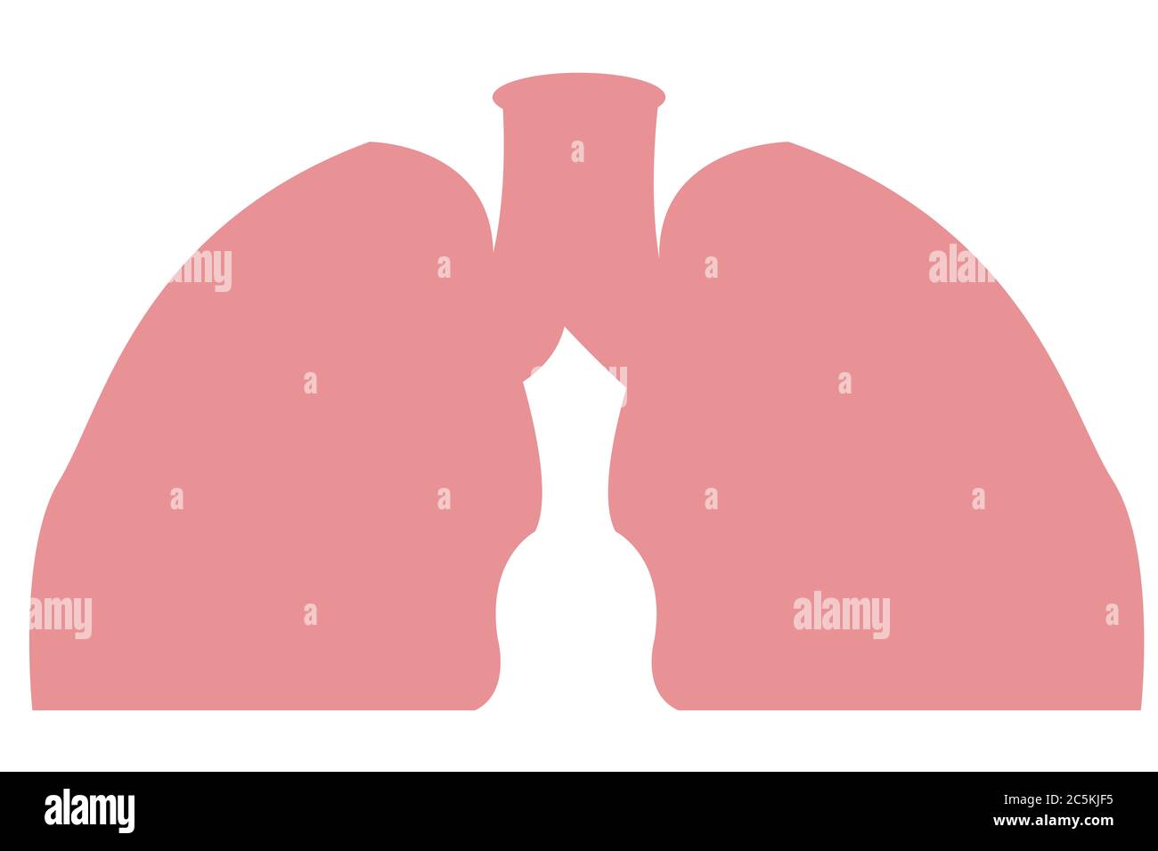 Human Lungs Attack by Covid 19 or Corona Virus.Lungs Vector.Human Respiratory System Lungs Anatomy.lungs organ.Medical illustration. Stock Photo