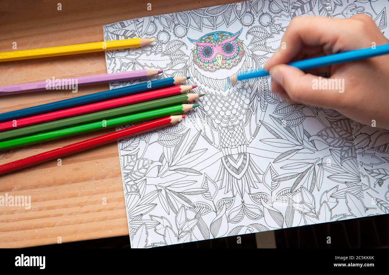 Coloring book color pencil hi-res stock photography and images - Page 3 -  Alamy