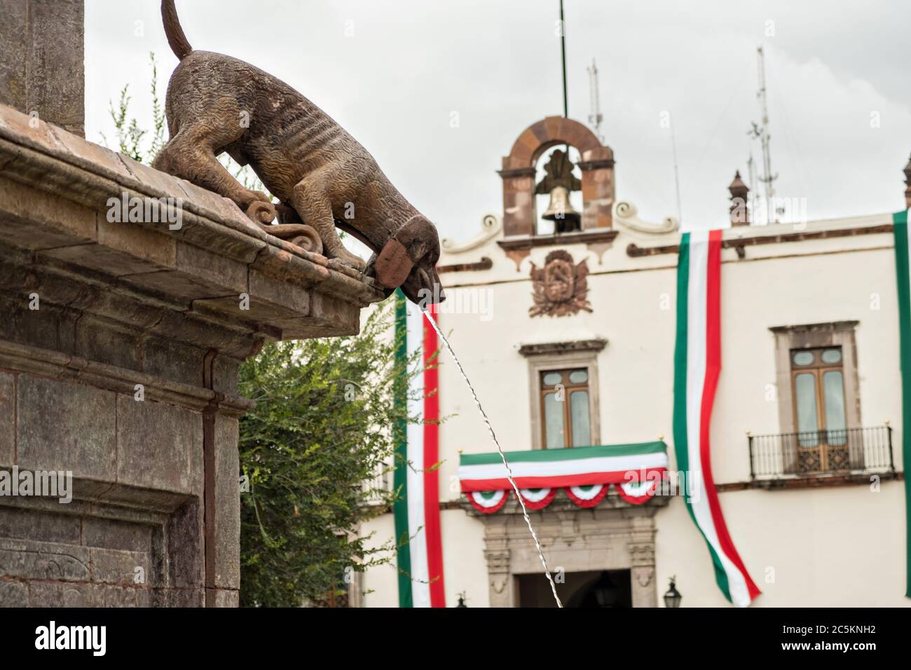 File:Perros en el Parque España, Ciudad de México.jpg - Wikimedia Commons