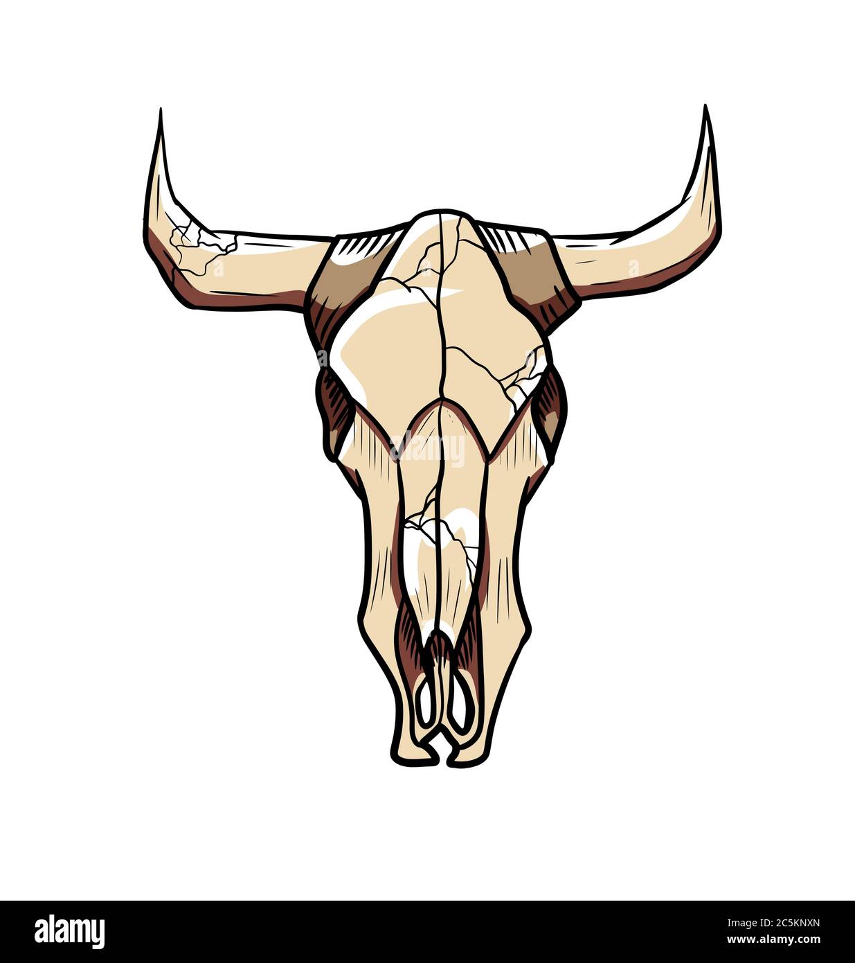 vector bull skull isolated on white background Stock Vector Image & Art