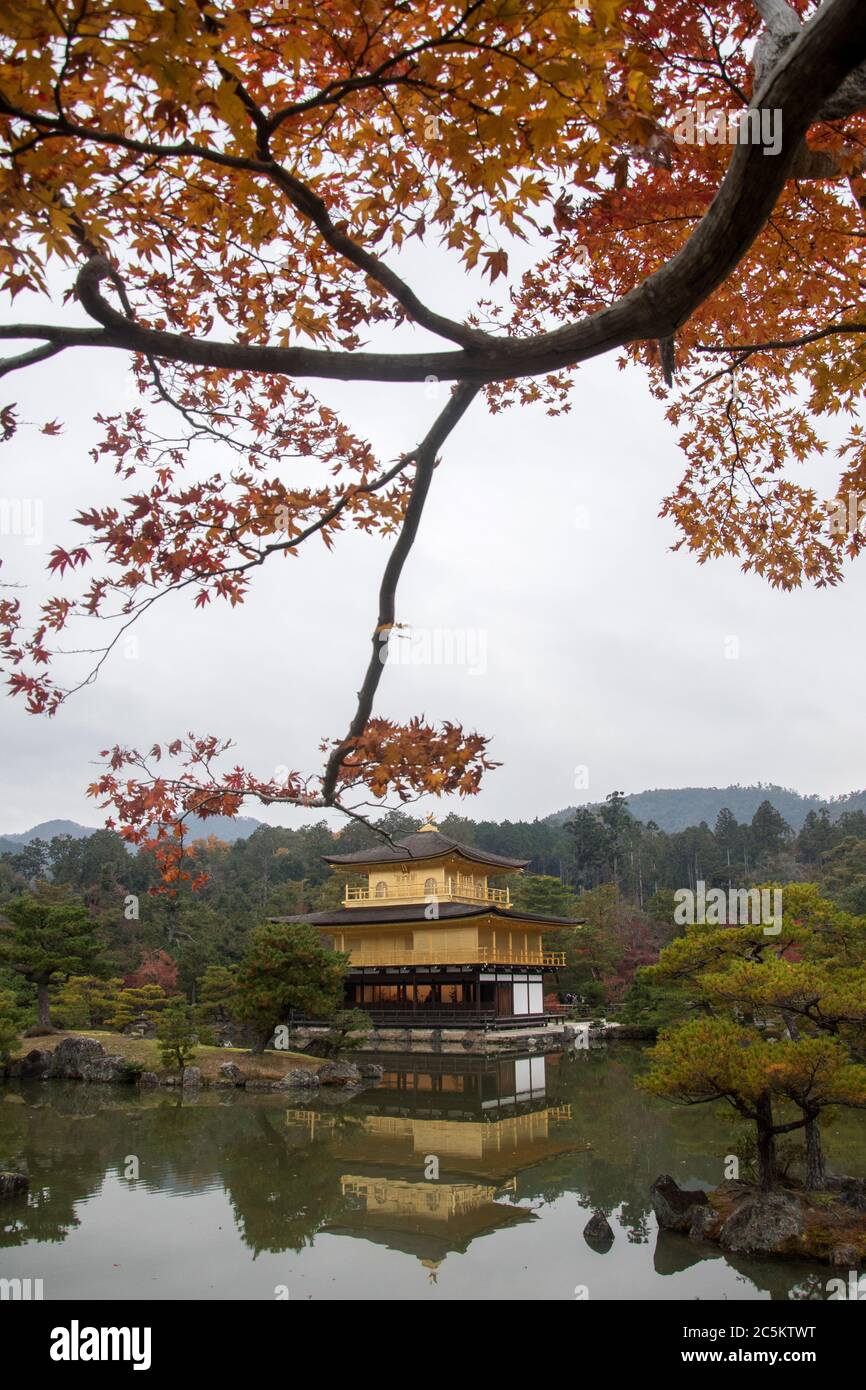 View of Kinkakuji, Temple of the Golden Pavilion buddhist temple in