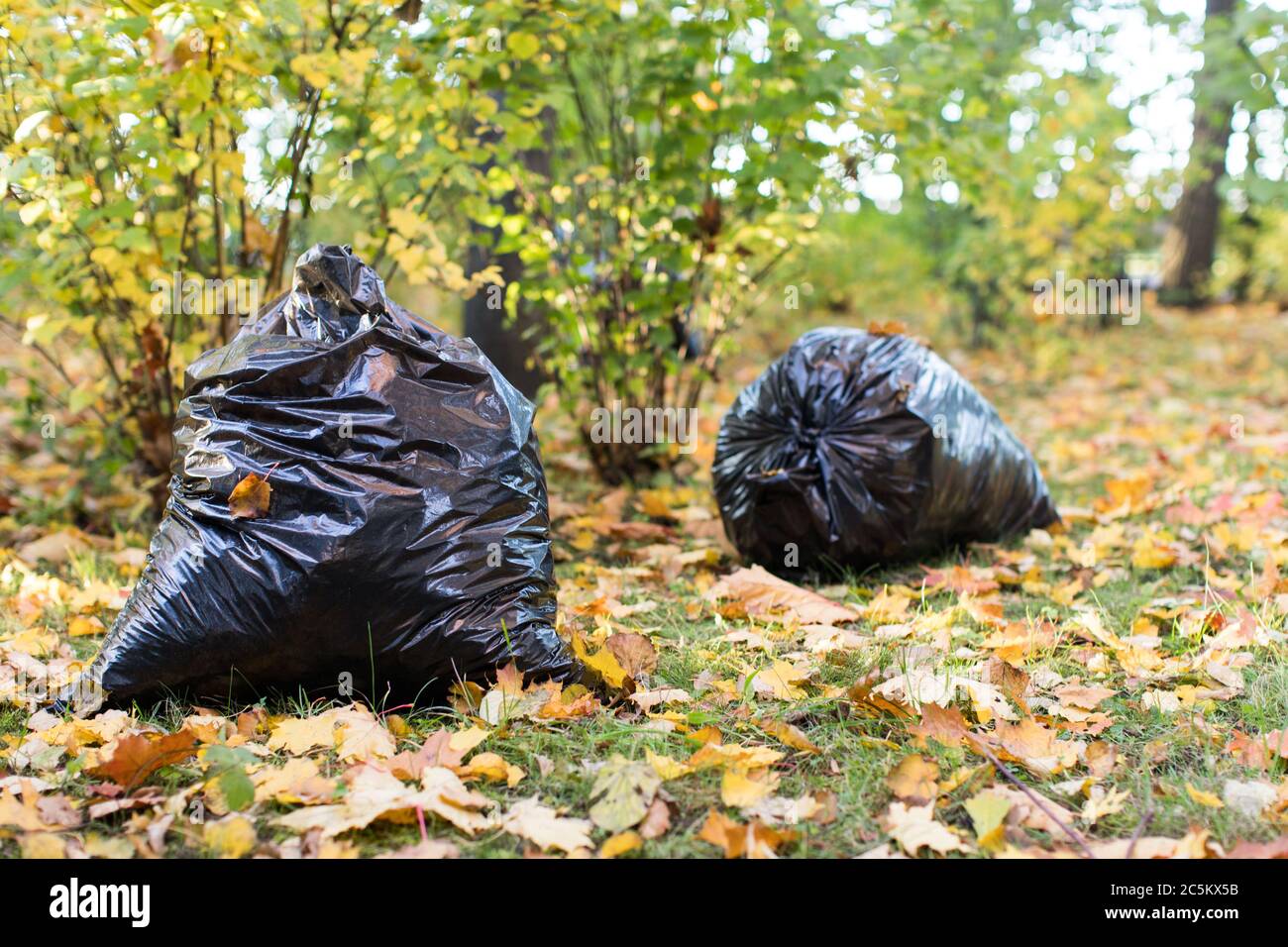 Leaves best sale garbage bags