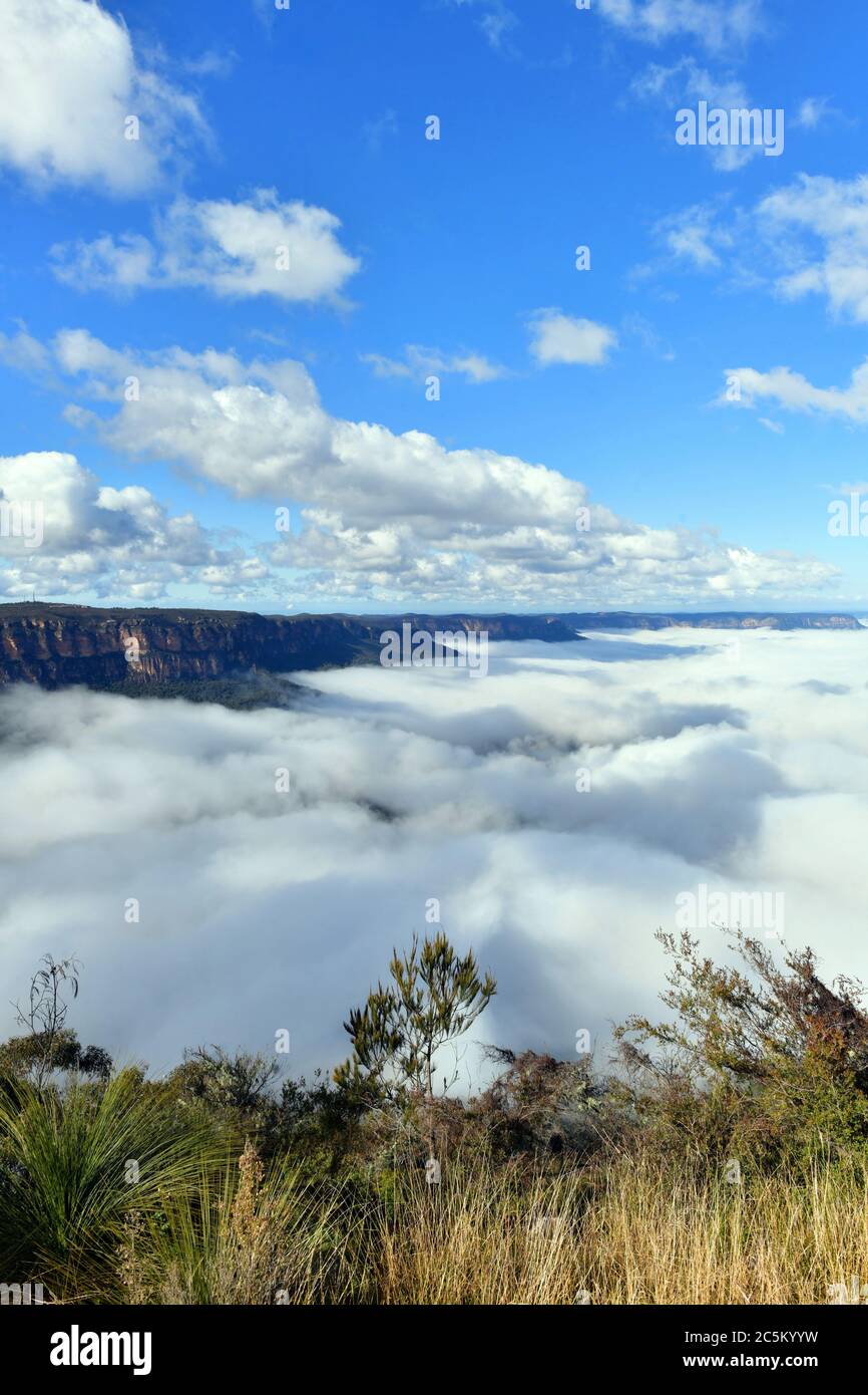 Mist trapped in the valley at Sublime Point in the Blue Mountains west of Sydney Stock Photo