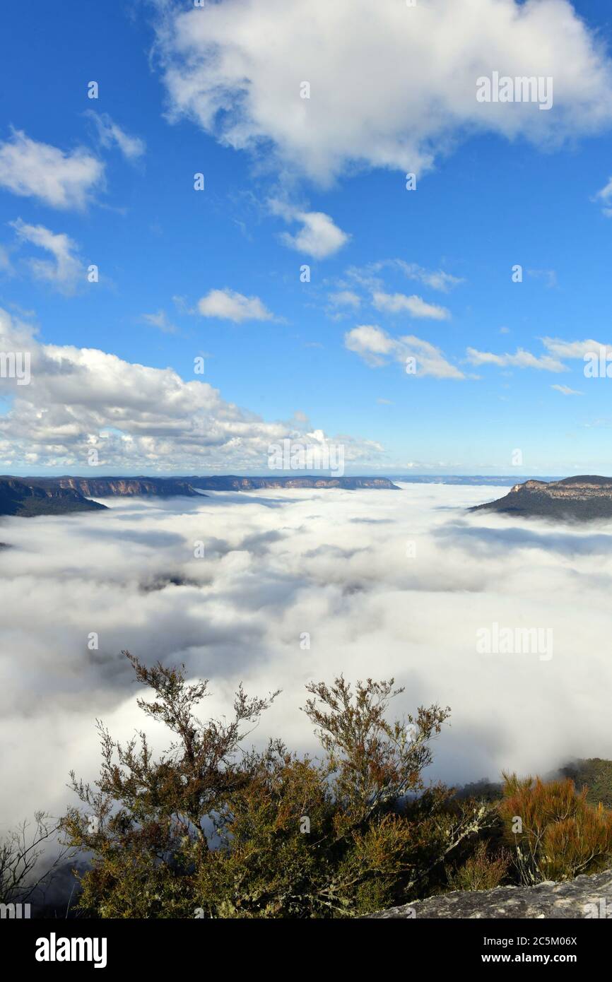 Mist trapped in the valley at Sublime Point in the Blue Mountains west of Sydney Stock Photo