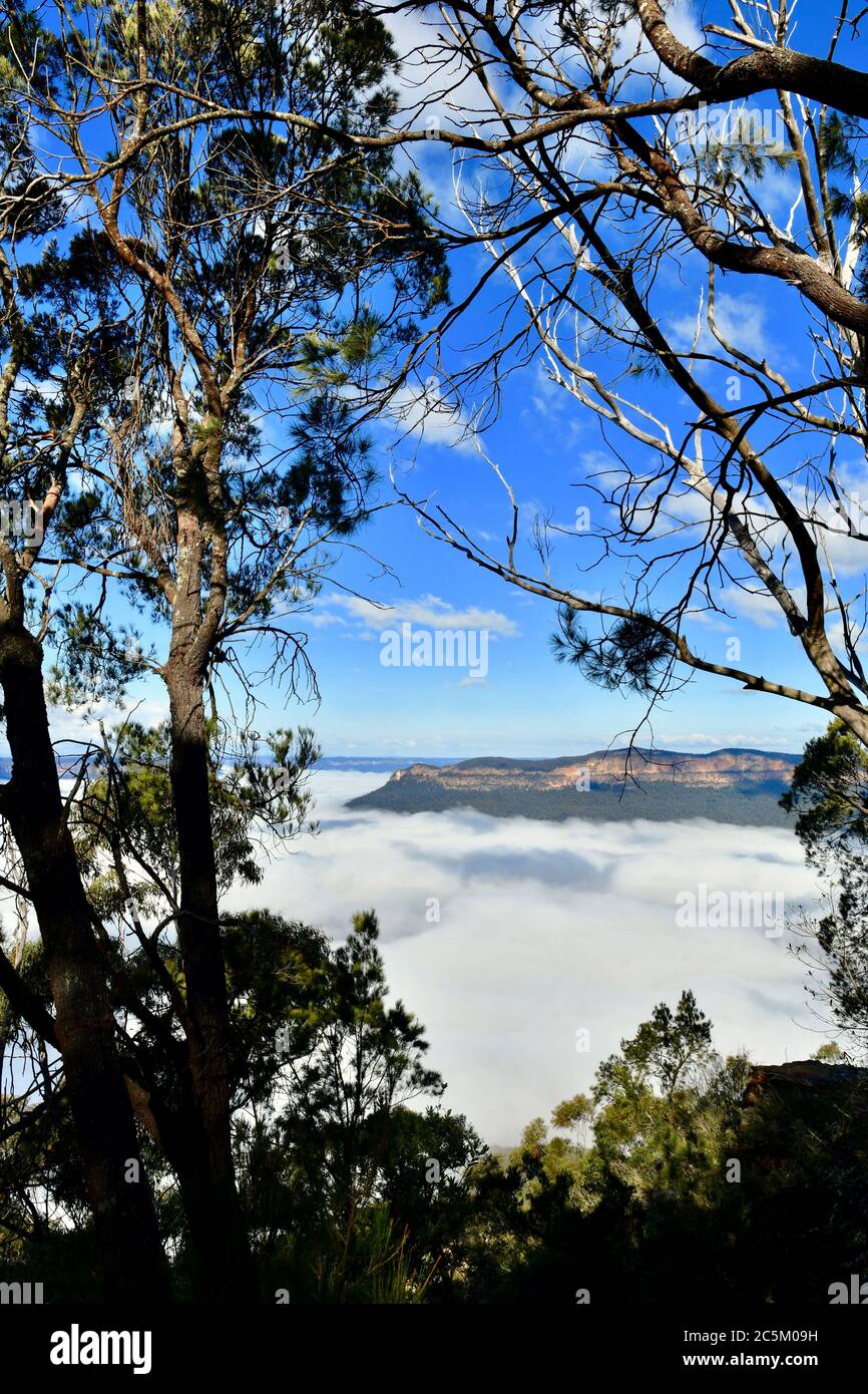 Mist trapped in the valley at Sublime Point in the Blue Mountains west of Sydney Stock Photo