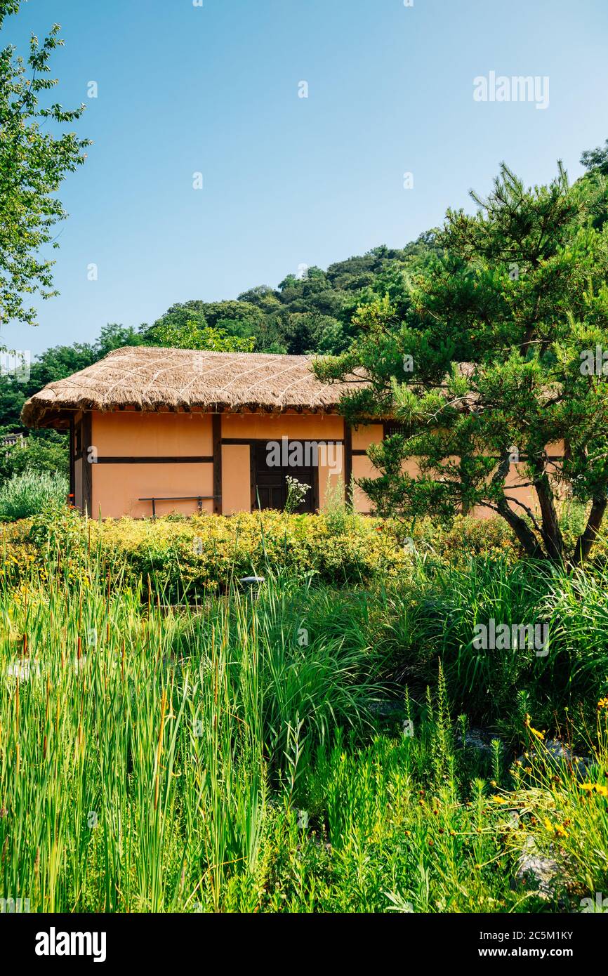 Korea traditional house with green forest at Wolmi Park Traditional