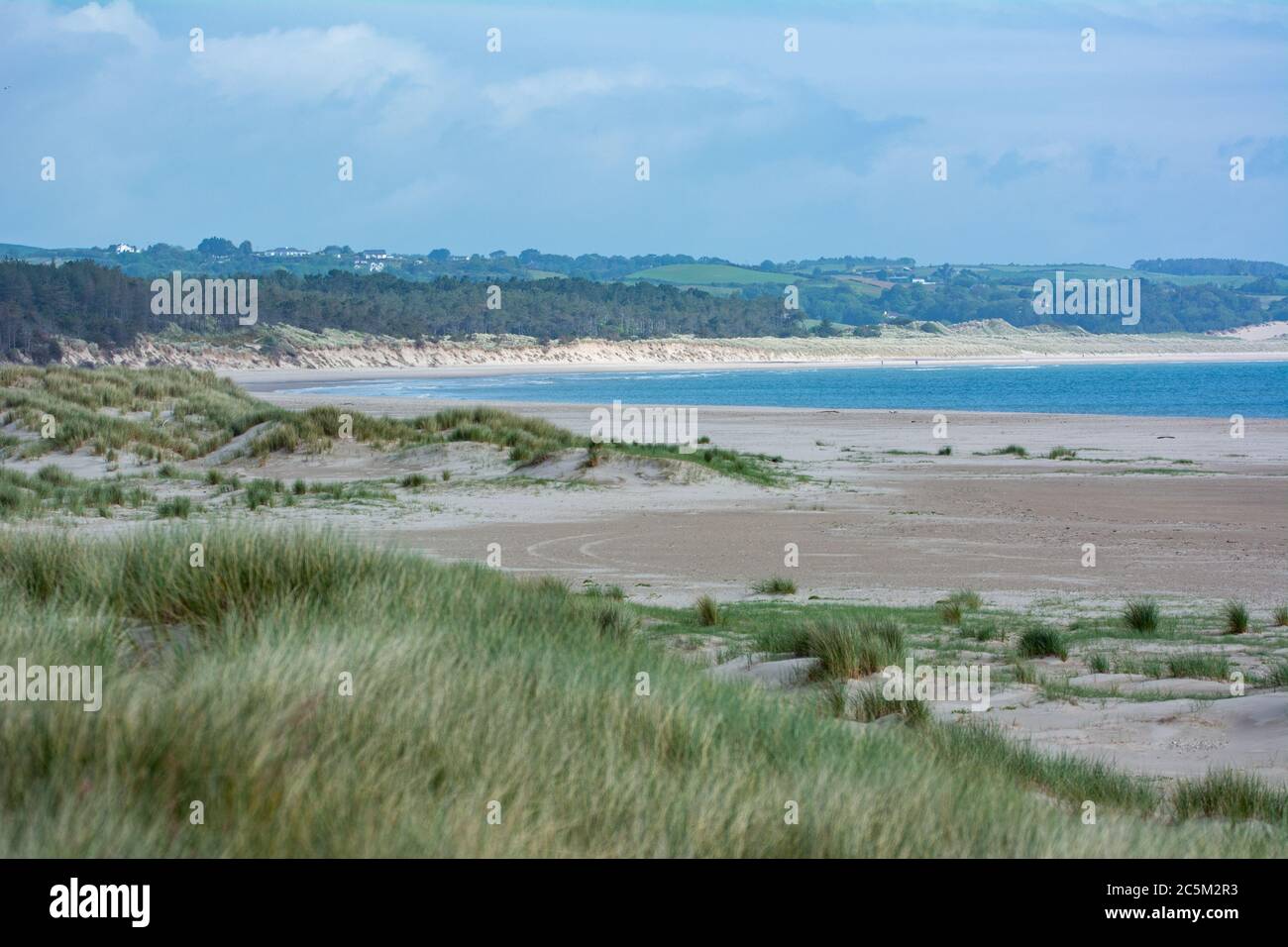 The golden sandy beaches on the coast of Ireland at Curracloe and Raven's Point in County Wexford Stock Photo