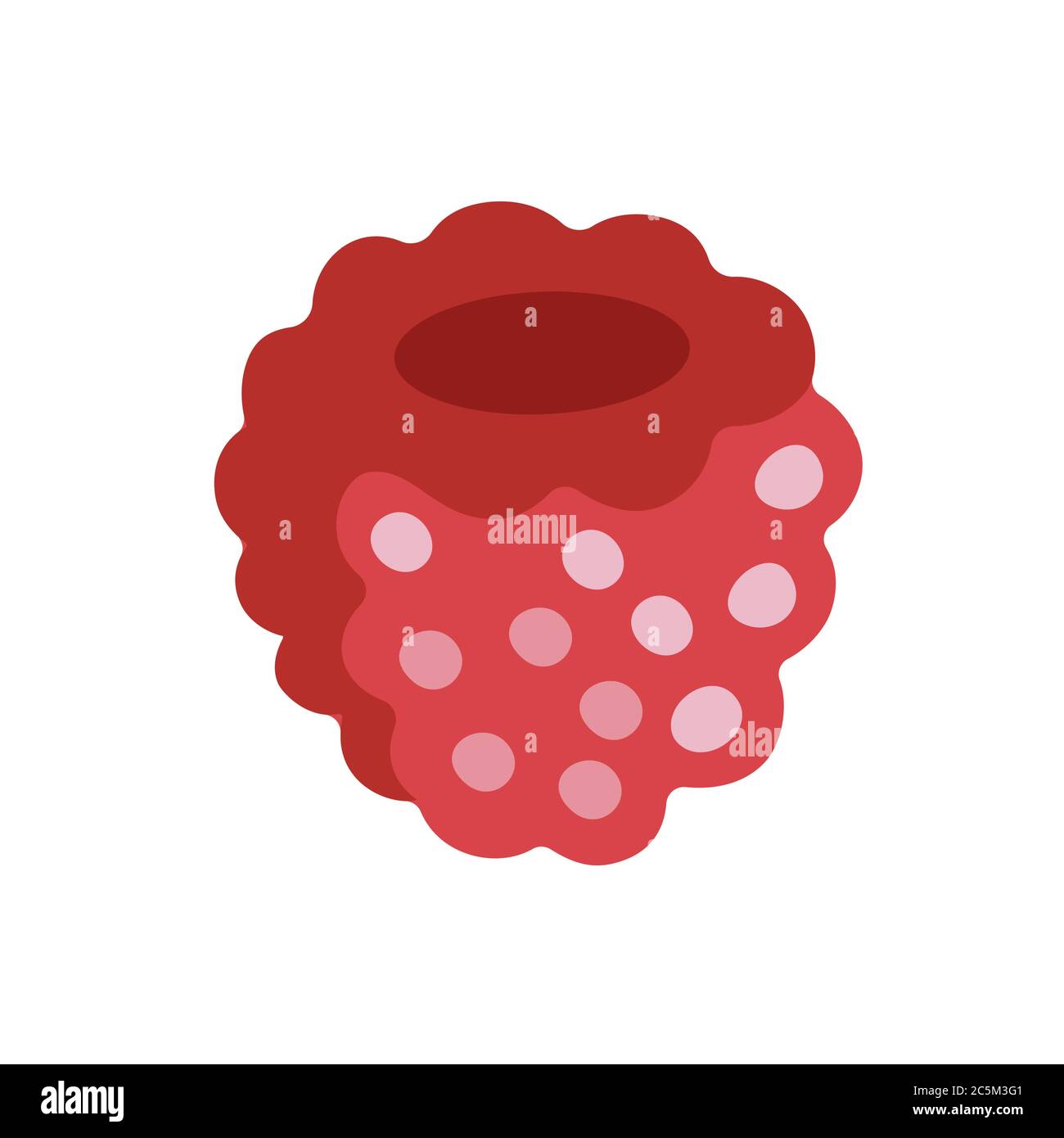 Ripe red raspberry fruits Stock Vector Images - Alamy