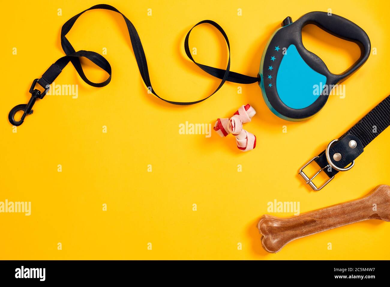 Black leather dog collar, bone and blue leash attached on yellow