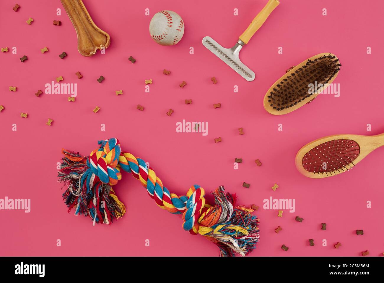 Accessories for the grooming of the dog. Combs and brushes for dogs