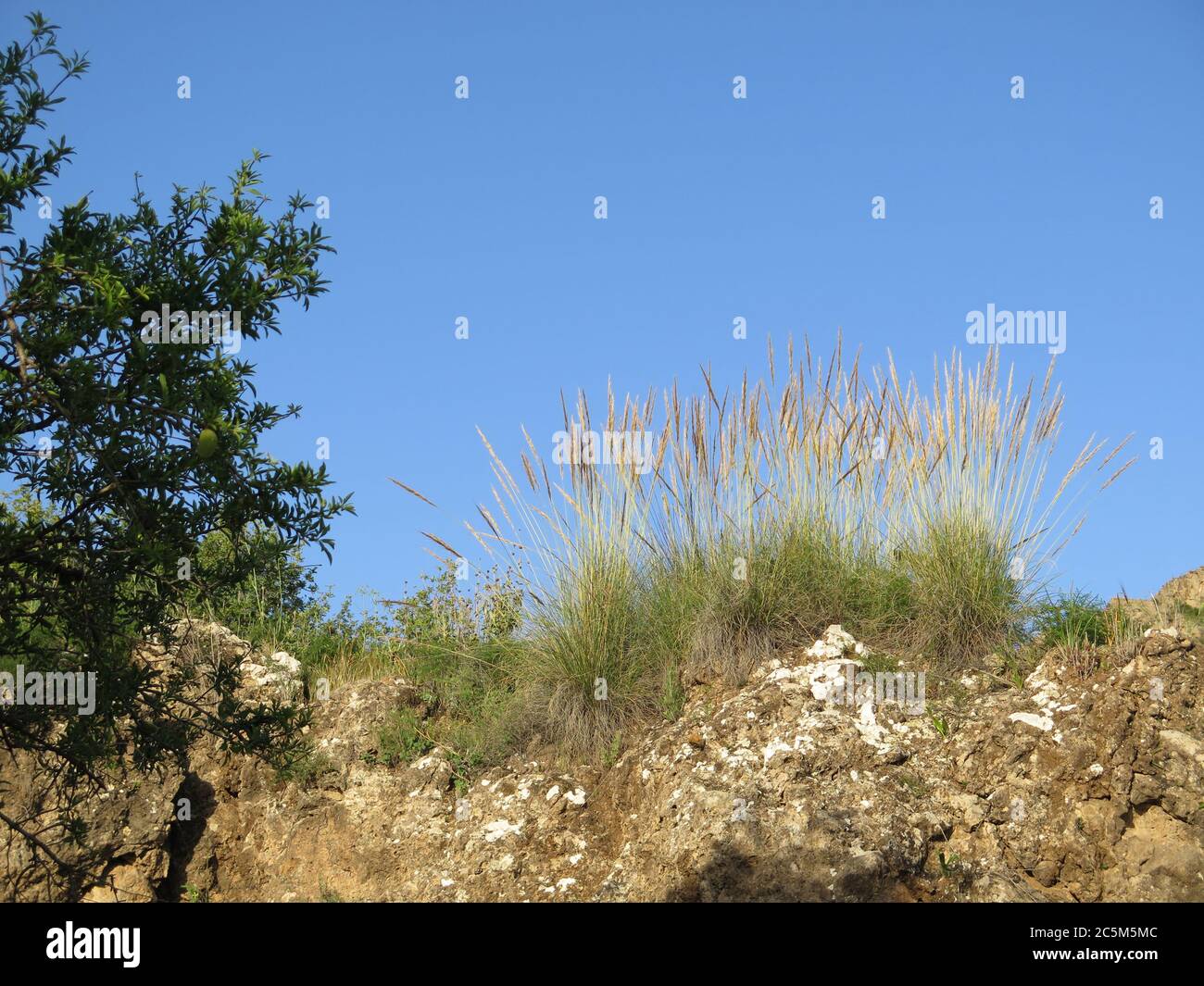 Family on rural hillside hires stock photography and images Alamy