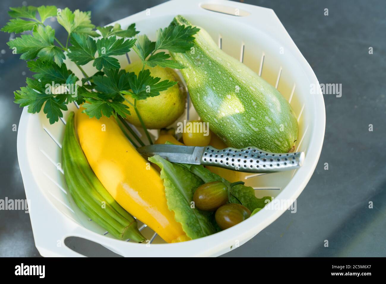 Okra Zucchini High Resolution Stock Photography And Images Alamy