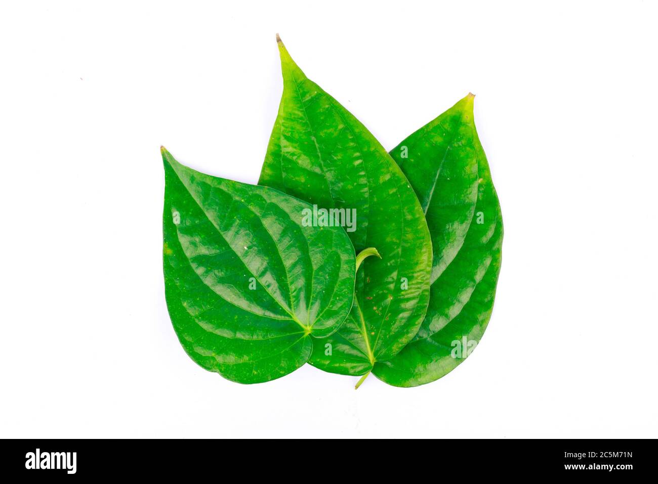 betel leaf is herbal Stock Photo