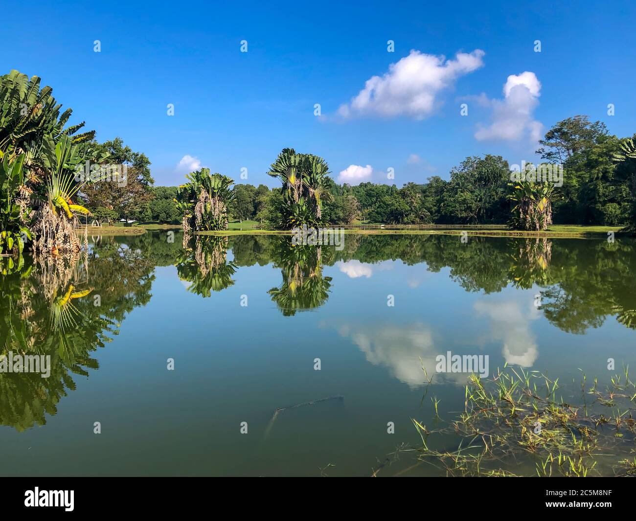 Lake, blue sky and trees with reflections in the water Stock Photo - Alamy