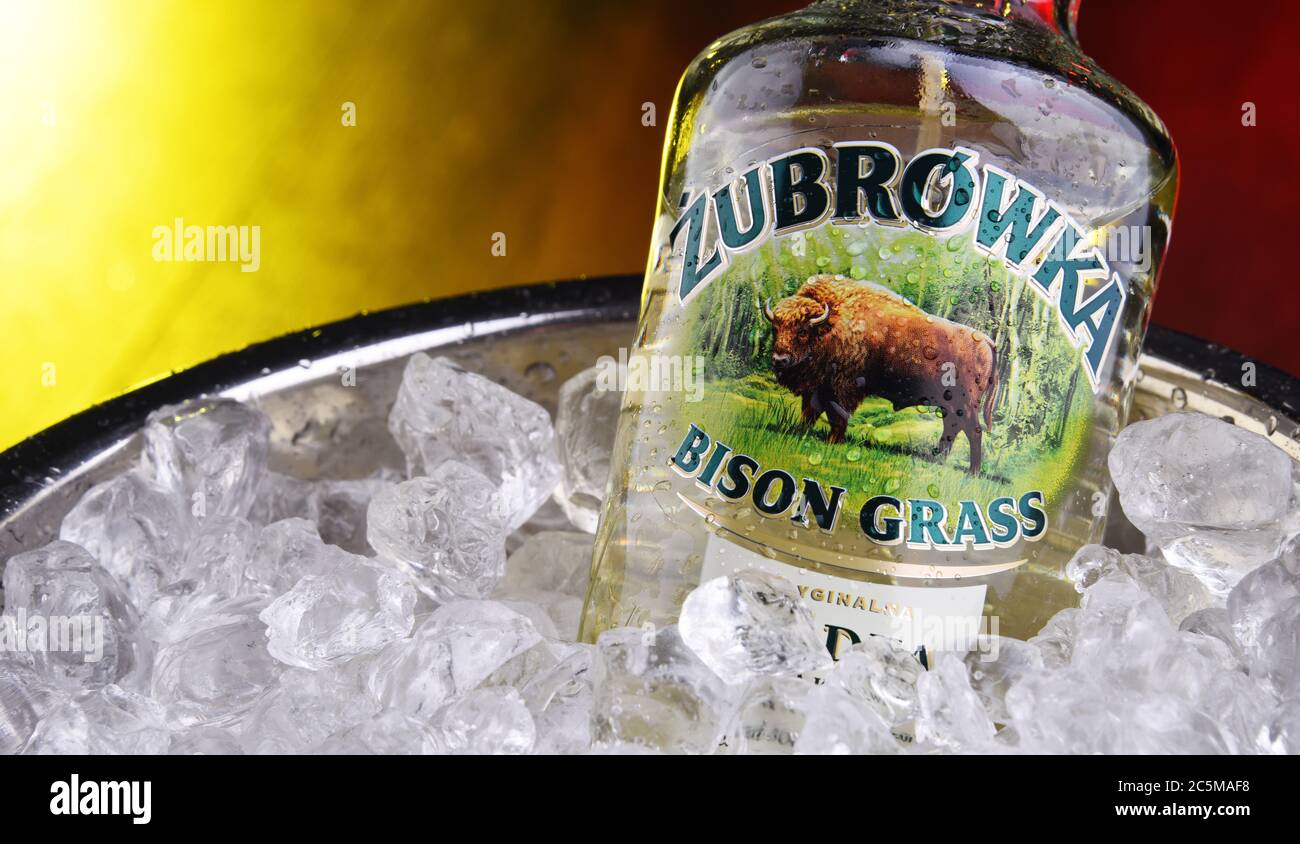 POZNAN, POLAND - JAN 3, 2020: Bottle of Zubrowka also known in English as Bison Grass Vodka, a dry, herb-flavoured vodka distilled from rye and manufa Stock Photo