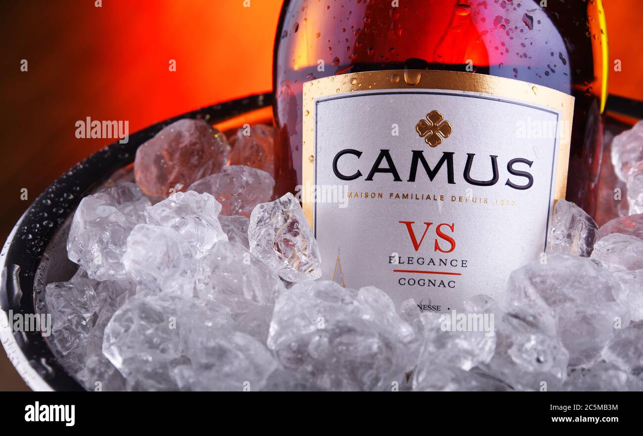 POZNAN, POL - JAN 29, 2020: Bottle of Camus Cognac, a brand