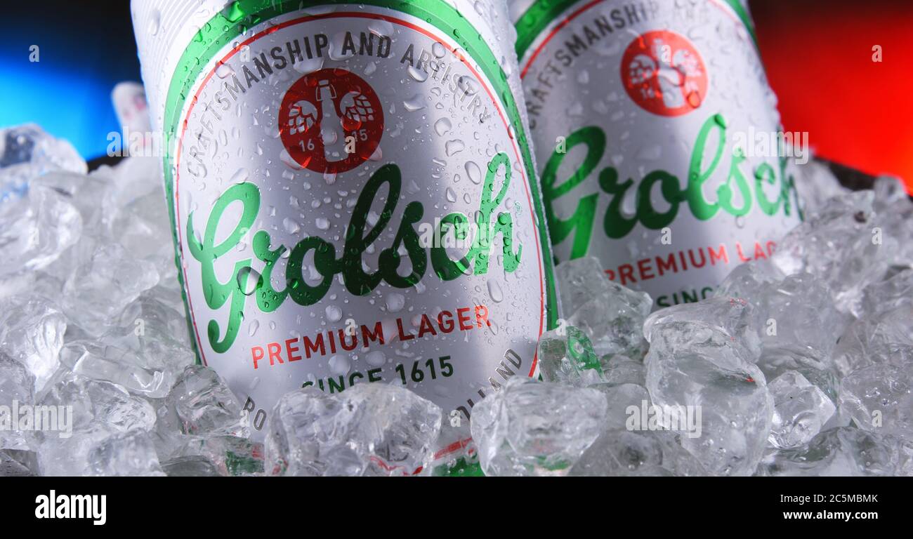 GROLCH PREMIUM PILNER - Online Neighbourhood Liquor Tore - View #3