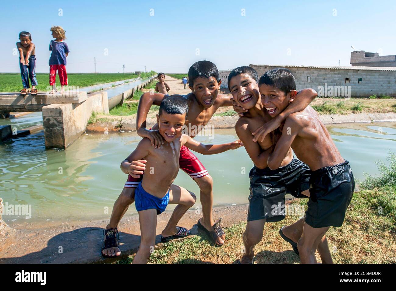 Happy boys of Syrian decent, now living in eastern Turkey, playing in an irrigation channel next to the road from Sanliurfa to Harran. Stock Photo