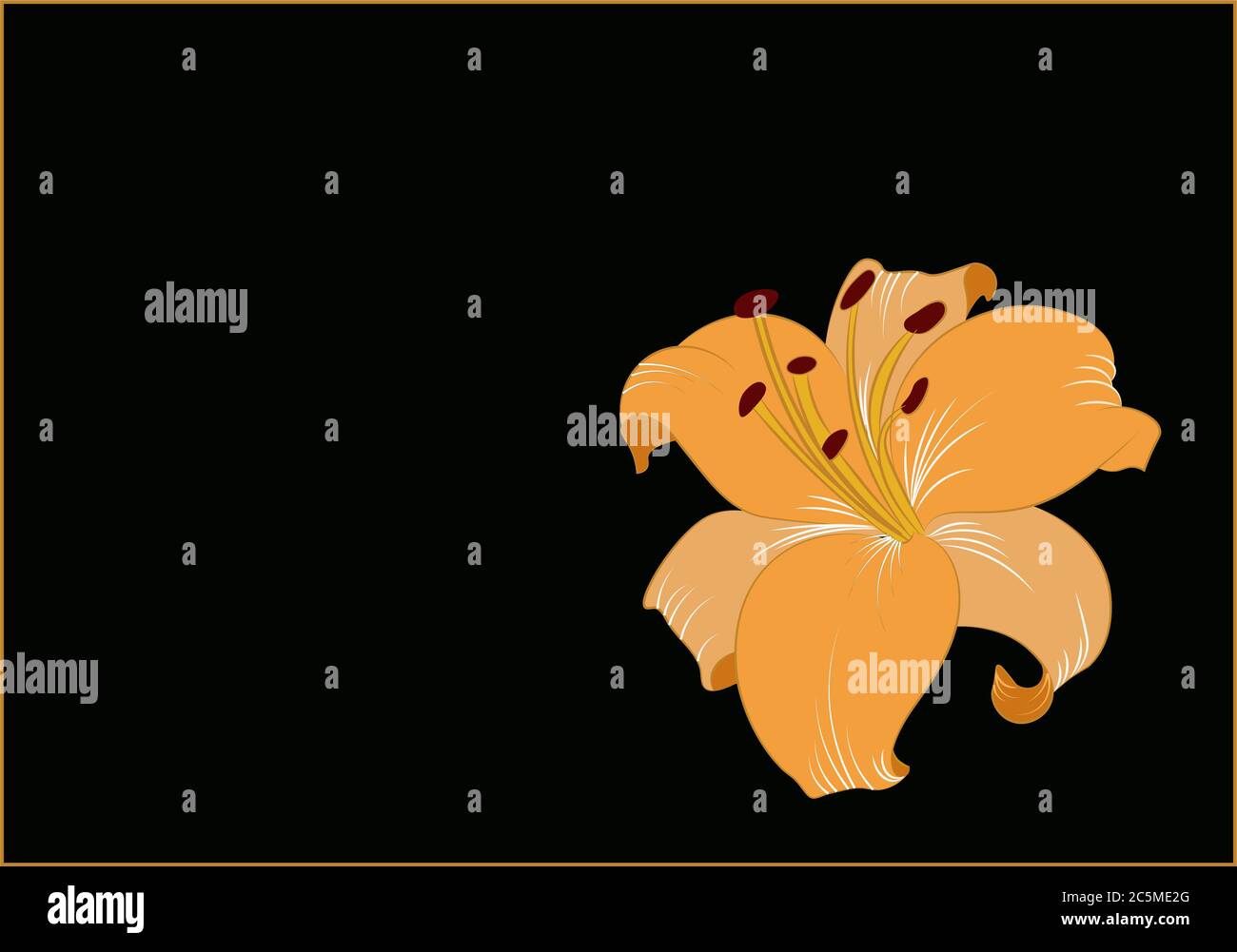 vector flower illustration isolated on black background Stock Photo - Alamy