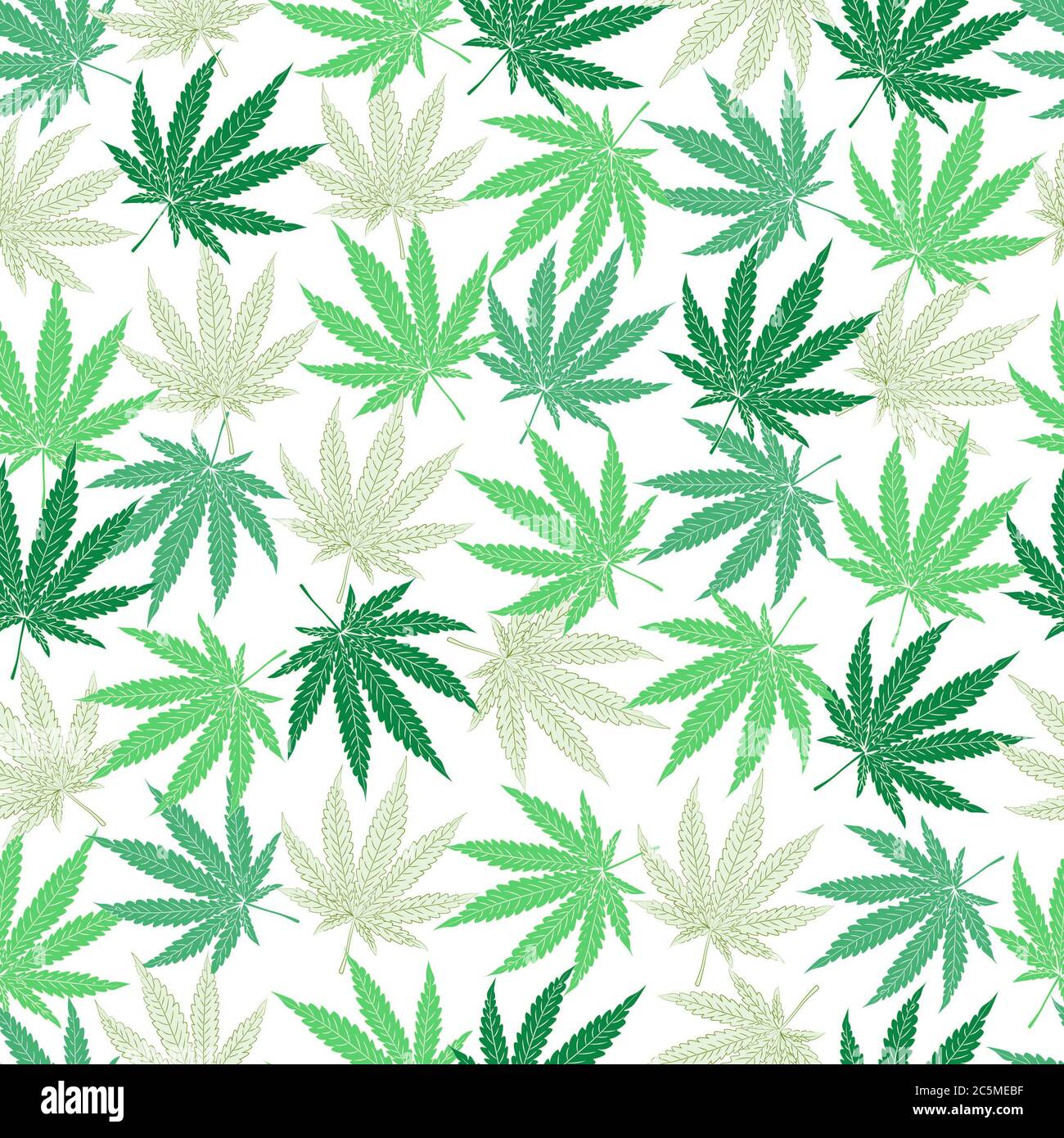 marijuana (cannabis) leaves pattern on white background Stock Photo
