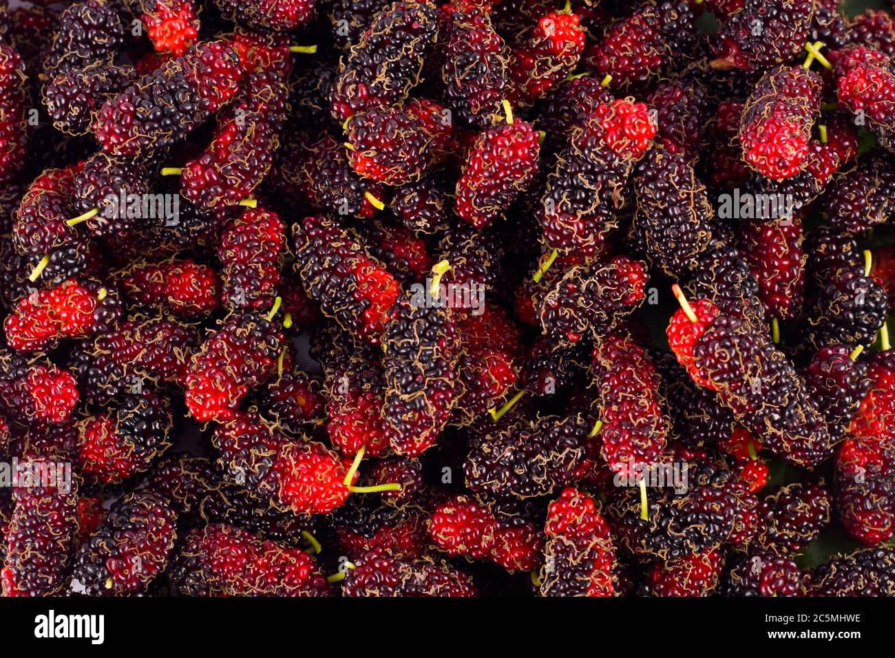 Ripe mulberry (Morus)  is black and red  fruit on white background healthy mulberry fruit food isolated Stock Photo