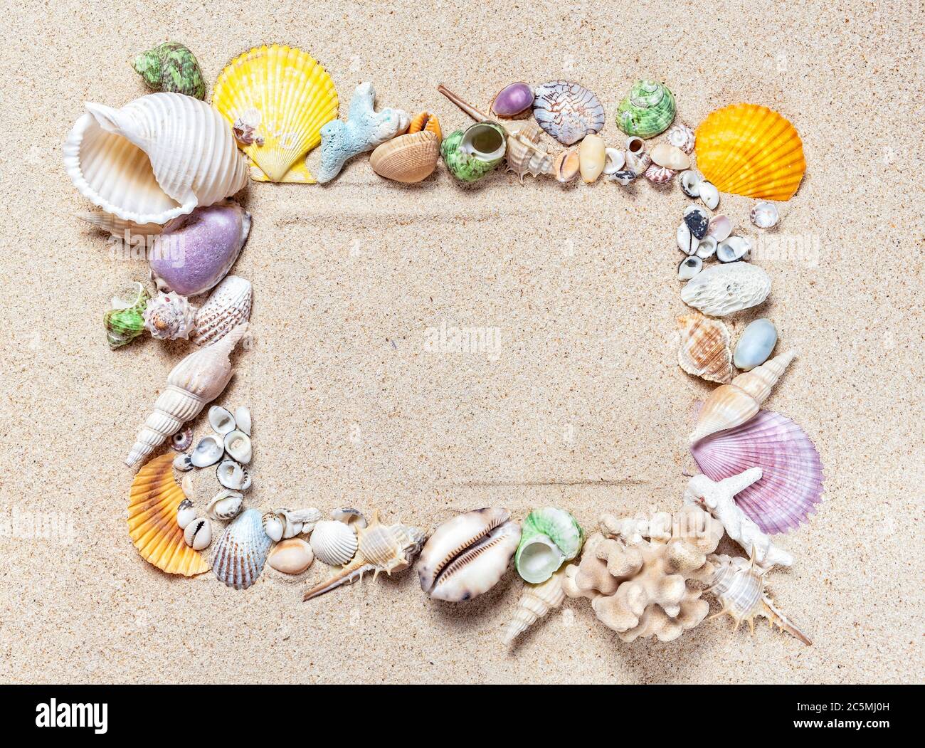 Frame made of mix seashells and corals on clean fine sand, top view with copy space Stock Photo