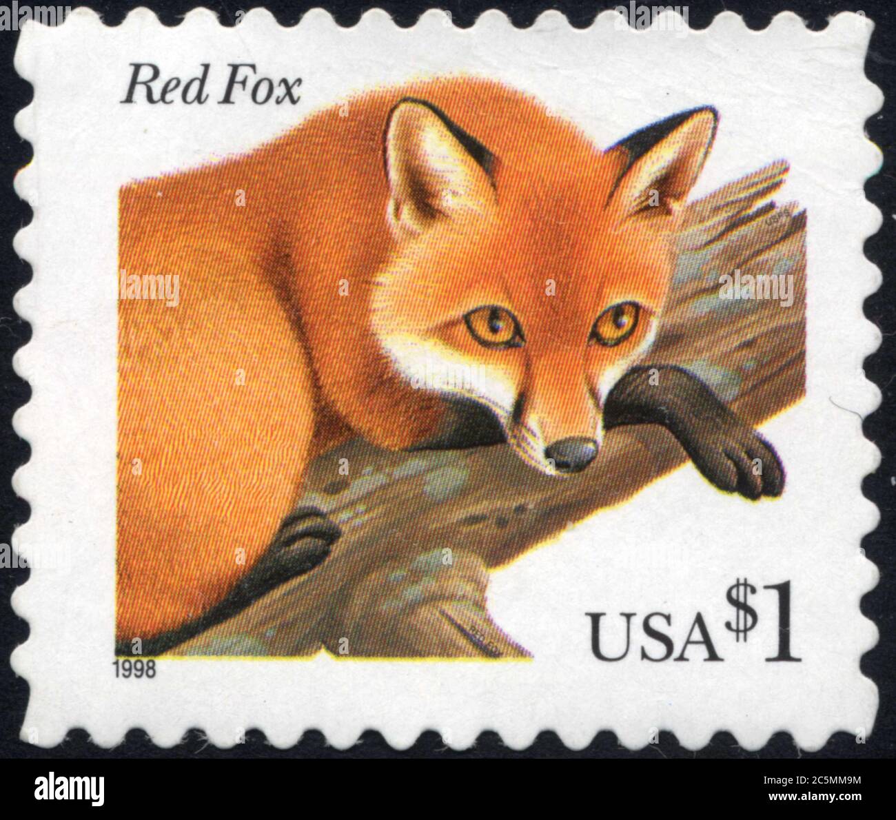 Timbre Red fox. USA. 1. 1998 Stock Photo