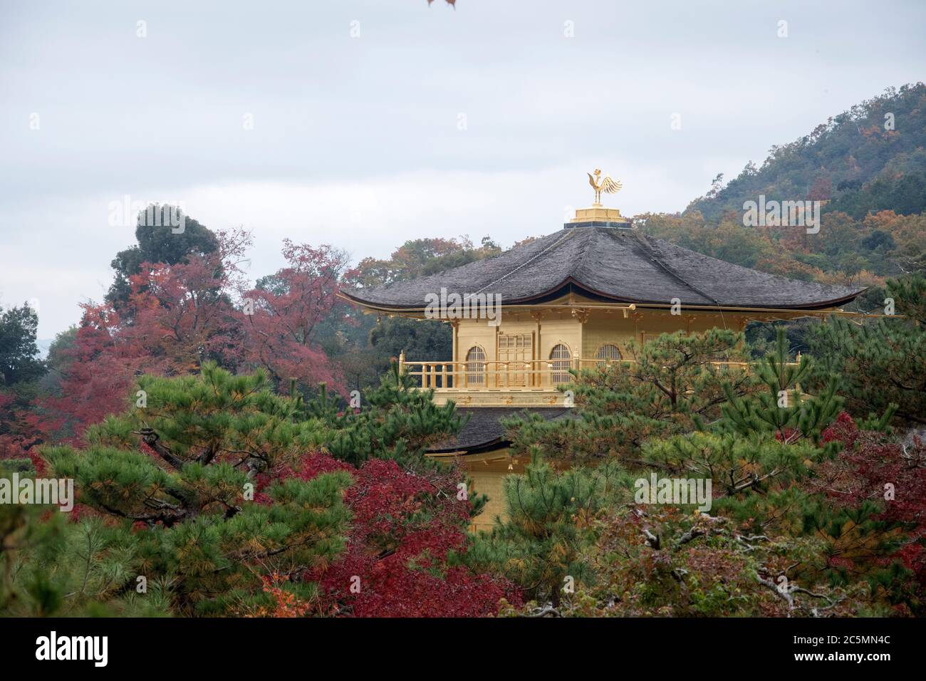 View of Kinkakuji, Temple of the Golden Pavilion buddhist temple in