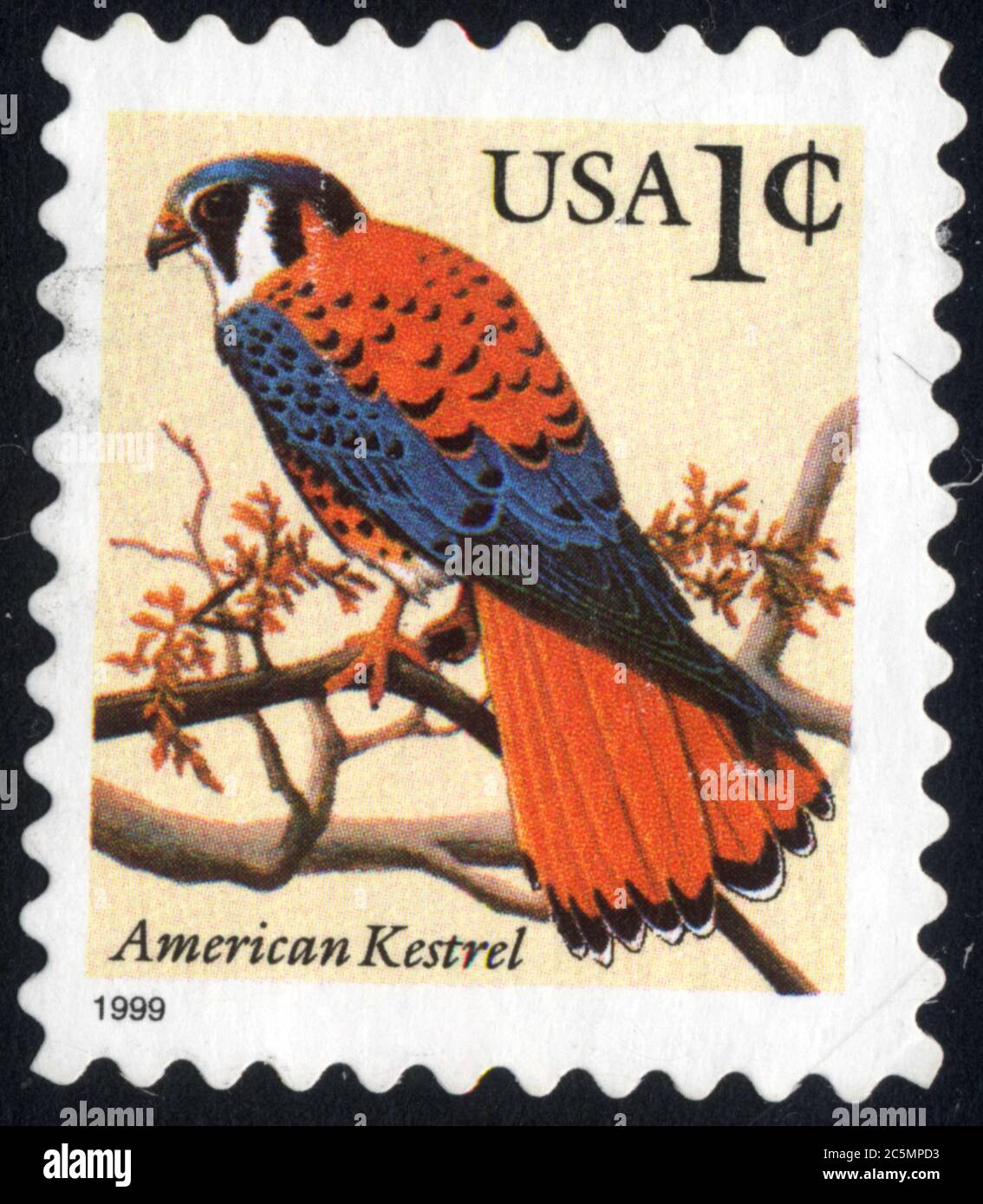 Timbre  American Kestrel. USA.1C. 1999. Oiseau Stock Photo