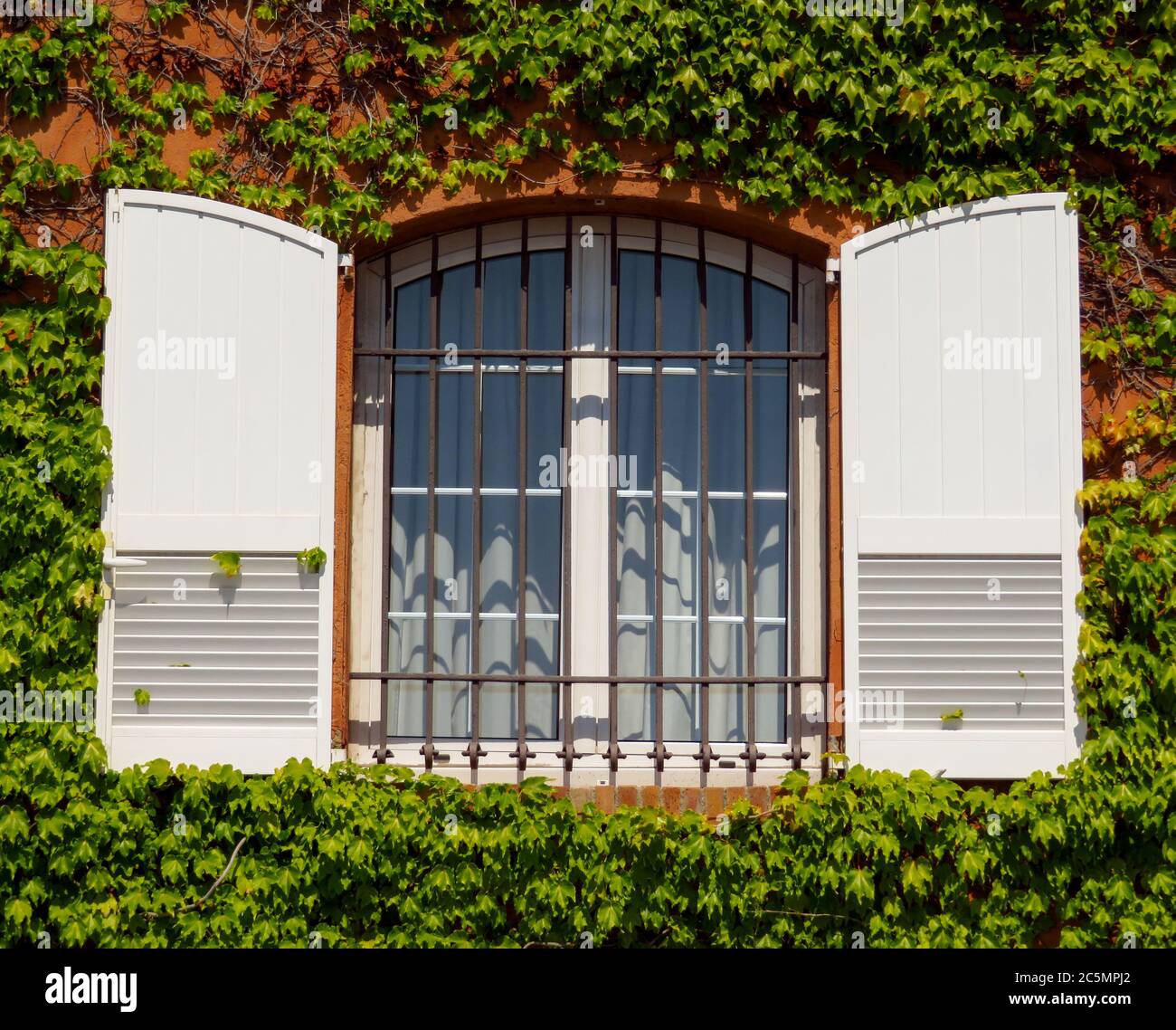 Creeper clad hires stock photography and images Alamy