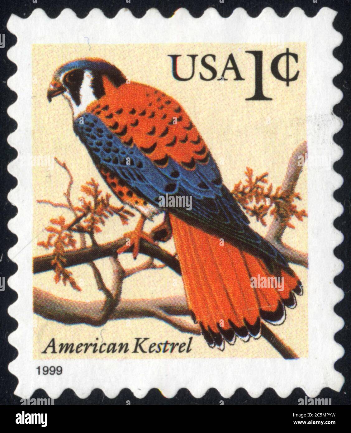 Timbre  American Kestrel. USA. 1C. 1999. Oiseau Stock Photo