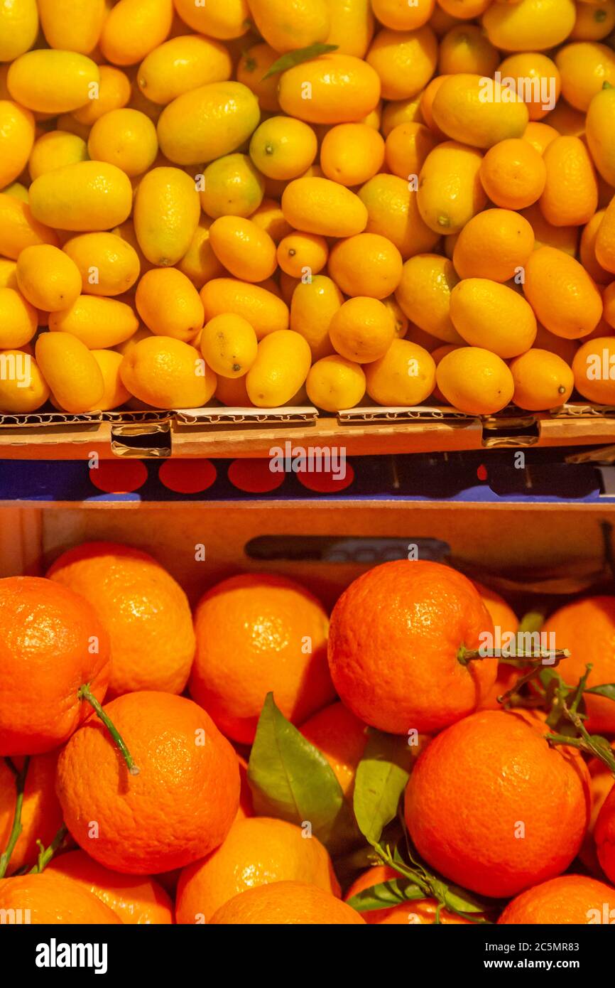 Citrus fruit for sale on a market stall Stock Photo Alamy