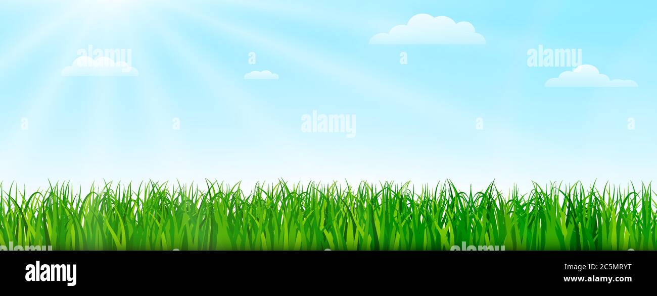 Spring nature background with green grass and blue sky. Vector ...