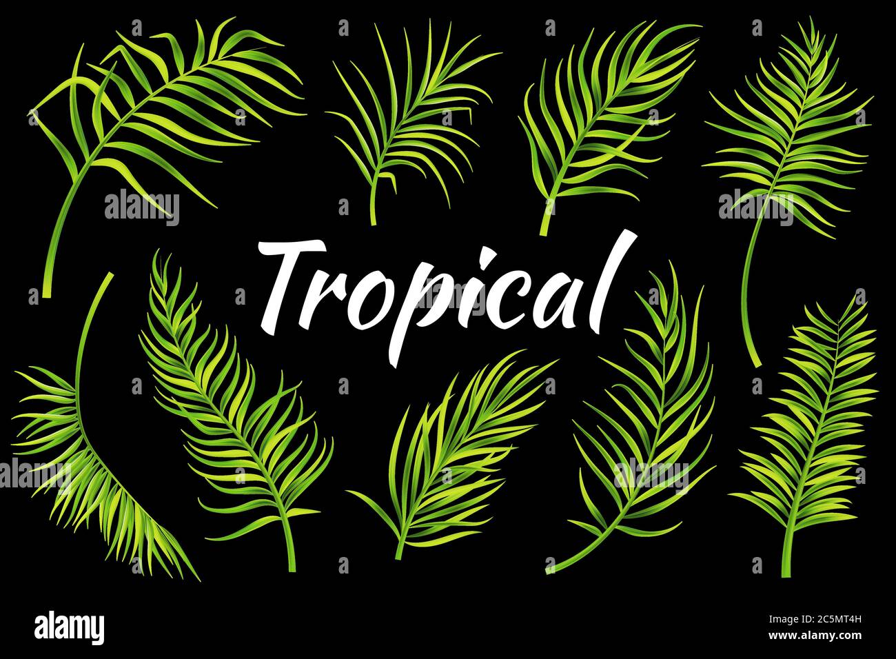 Tropical leaves set. Vector illustration Stock Vector
