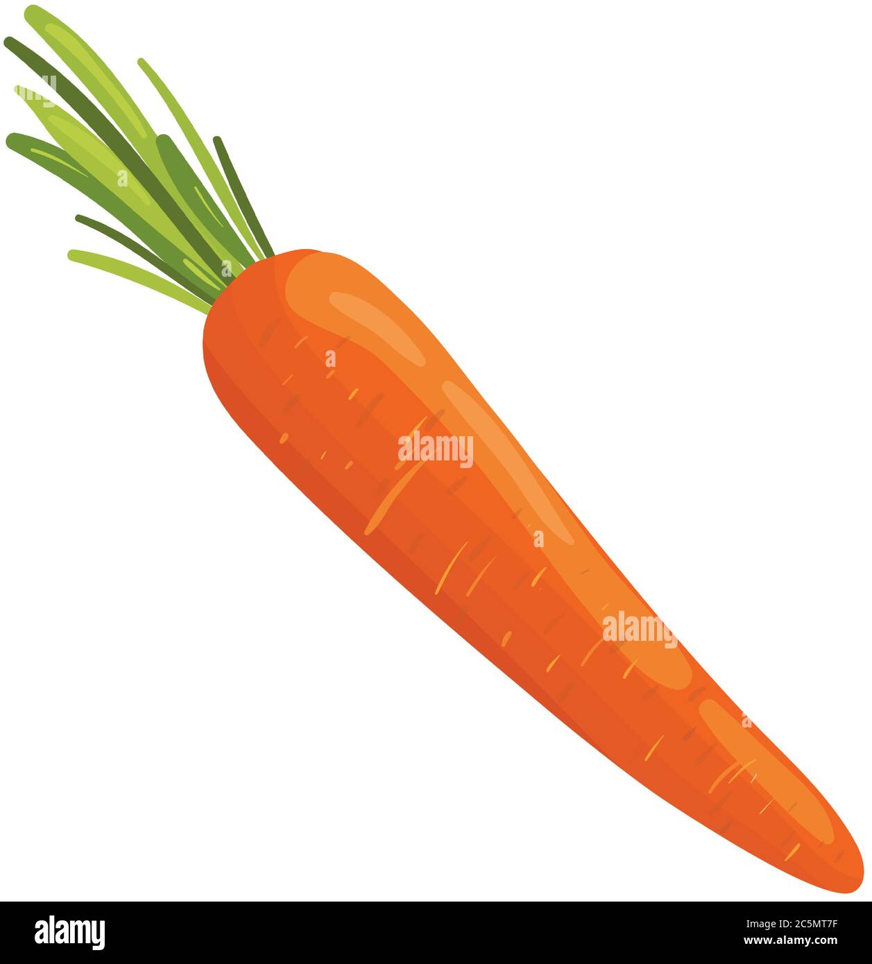 Bright vector carrot. Fresh cartoon vegetable isolated on white background. Illustration used for magazine, book, poster, card, menu cover, web pages. Stock Vector