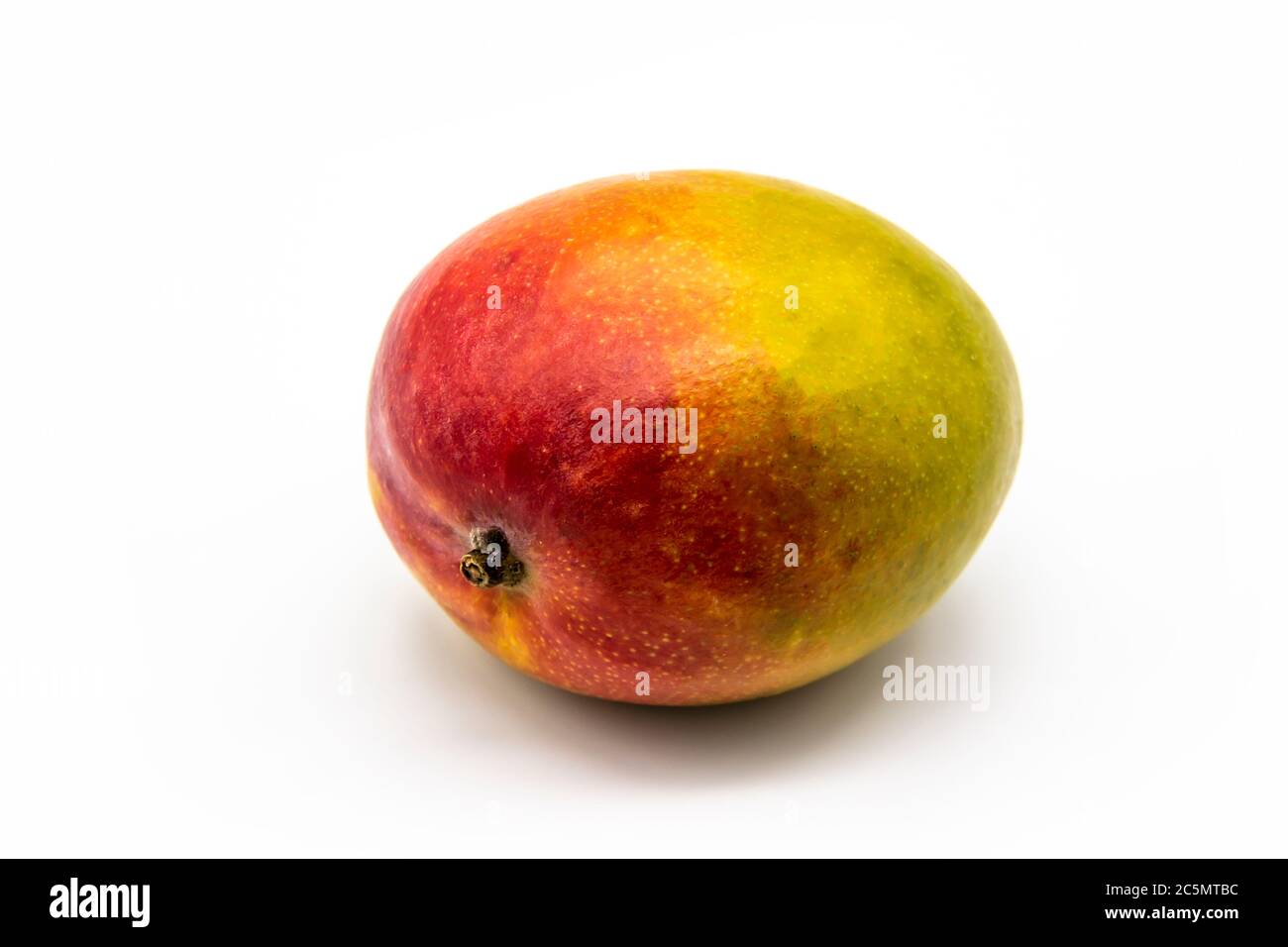 Large Ripe Round Mango Mango fruit isolated on white background. One ripe mango fruit isolated ...