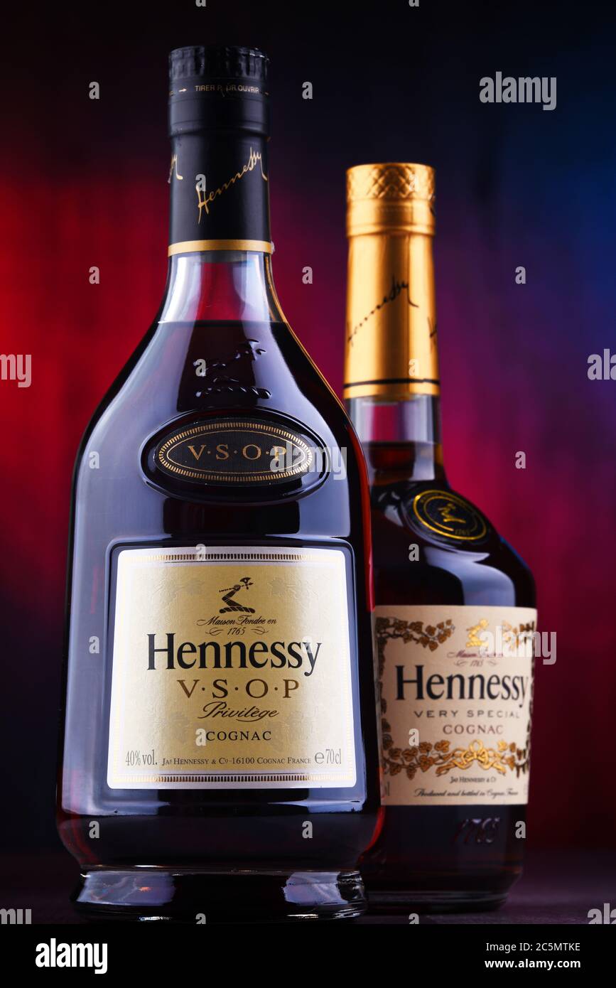 Hennessy 1995 Coupé Speciale Jardine - Old Liquor Company