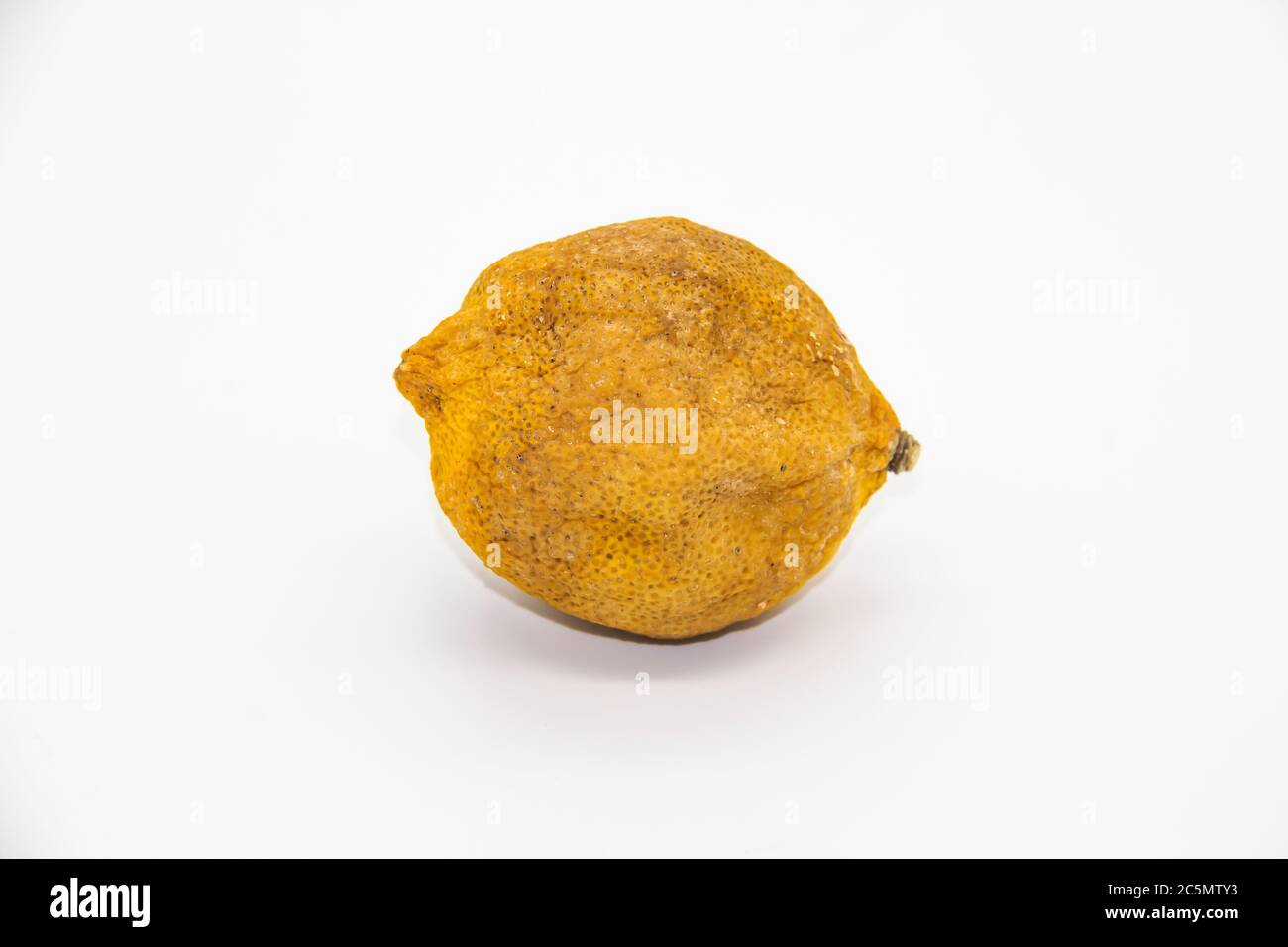 Spoiled and dry lemon isolated on white background. Dried lemon against background Stock Photo