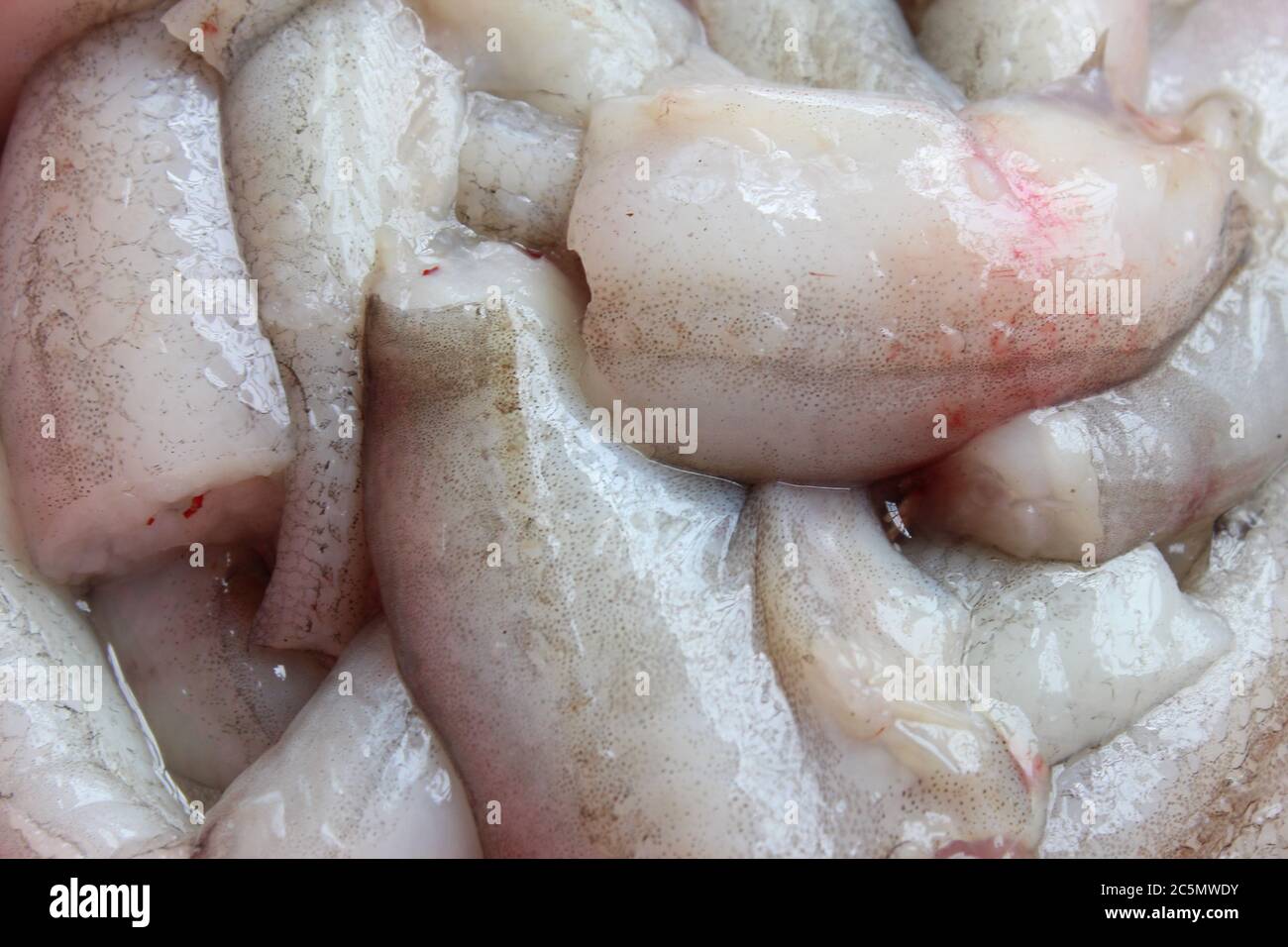 Bombay duck fish hi-res stock photography and images - Alamy