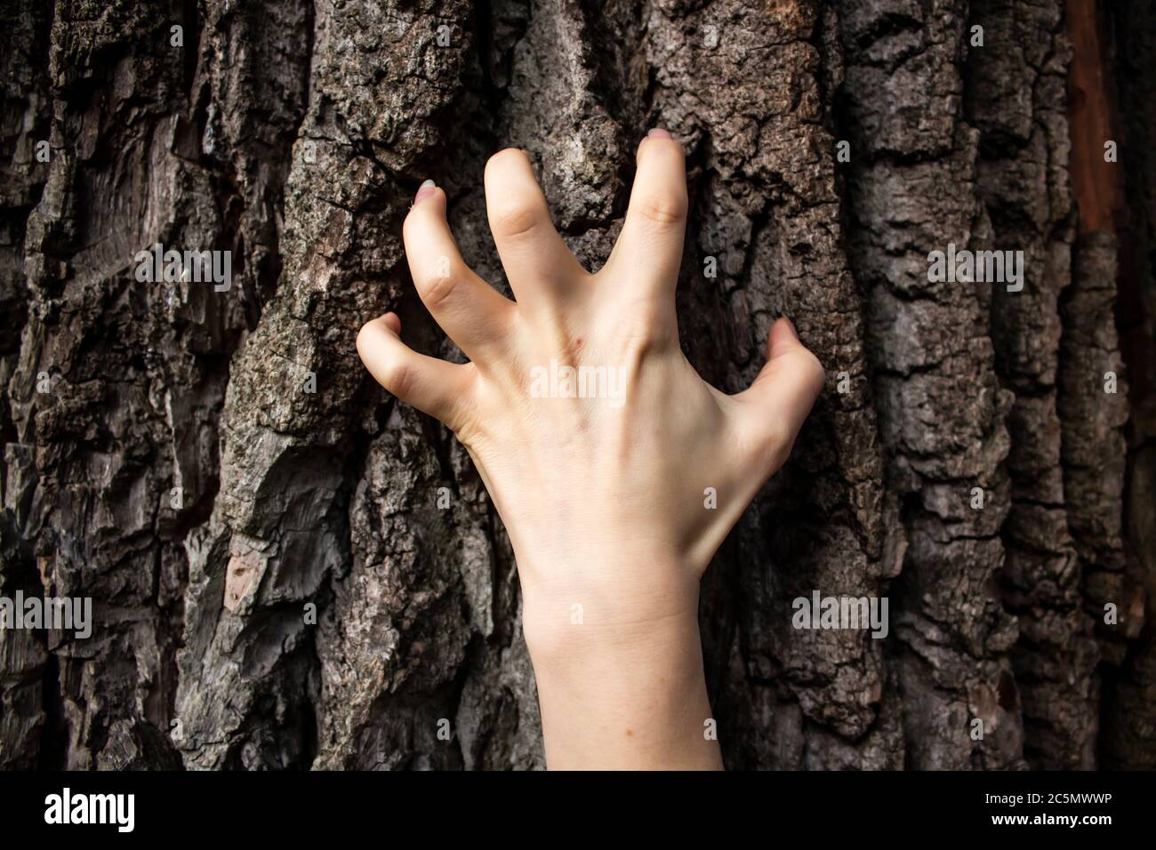 The woman's hand move on the tree. Can be used in the scary design in ...
