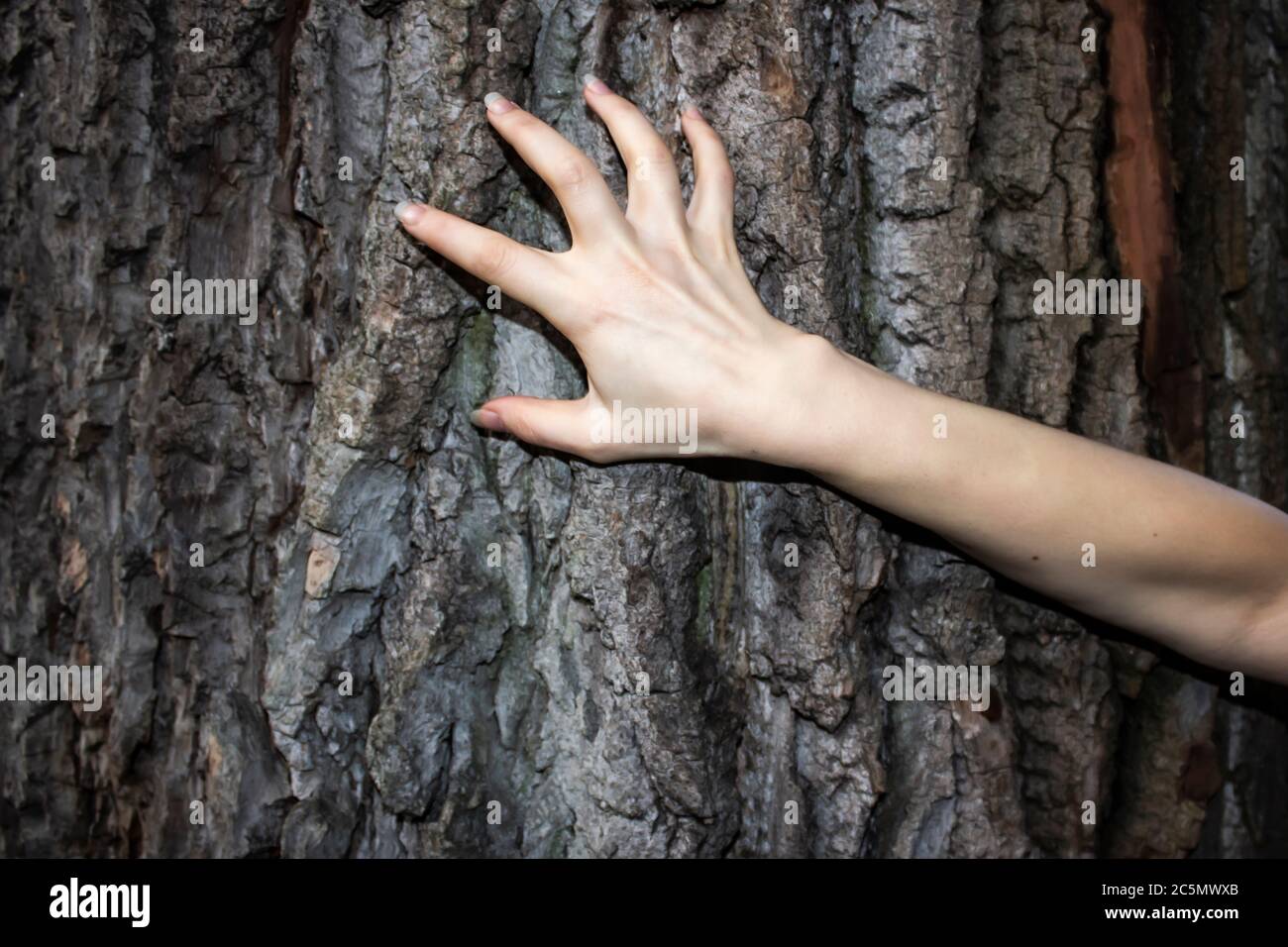 The woman's hand move on the tree. Can be used in the scary design in ...