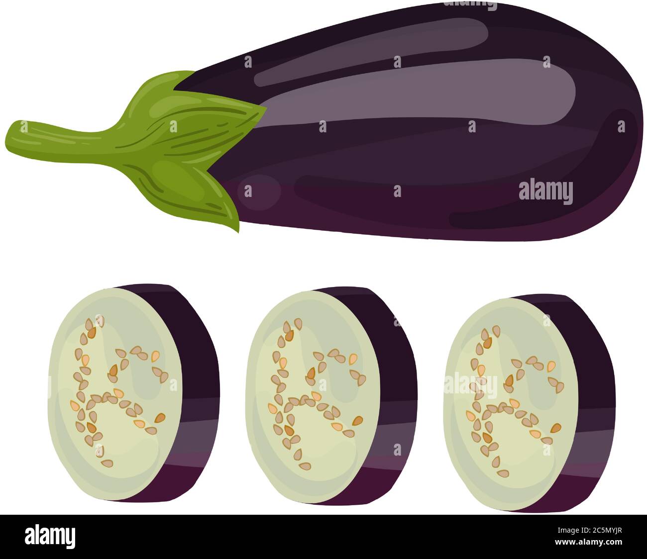 Eggplant. Modern Simple Vector For Web Site Or Mobile App. Vector image. Stock Vector