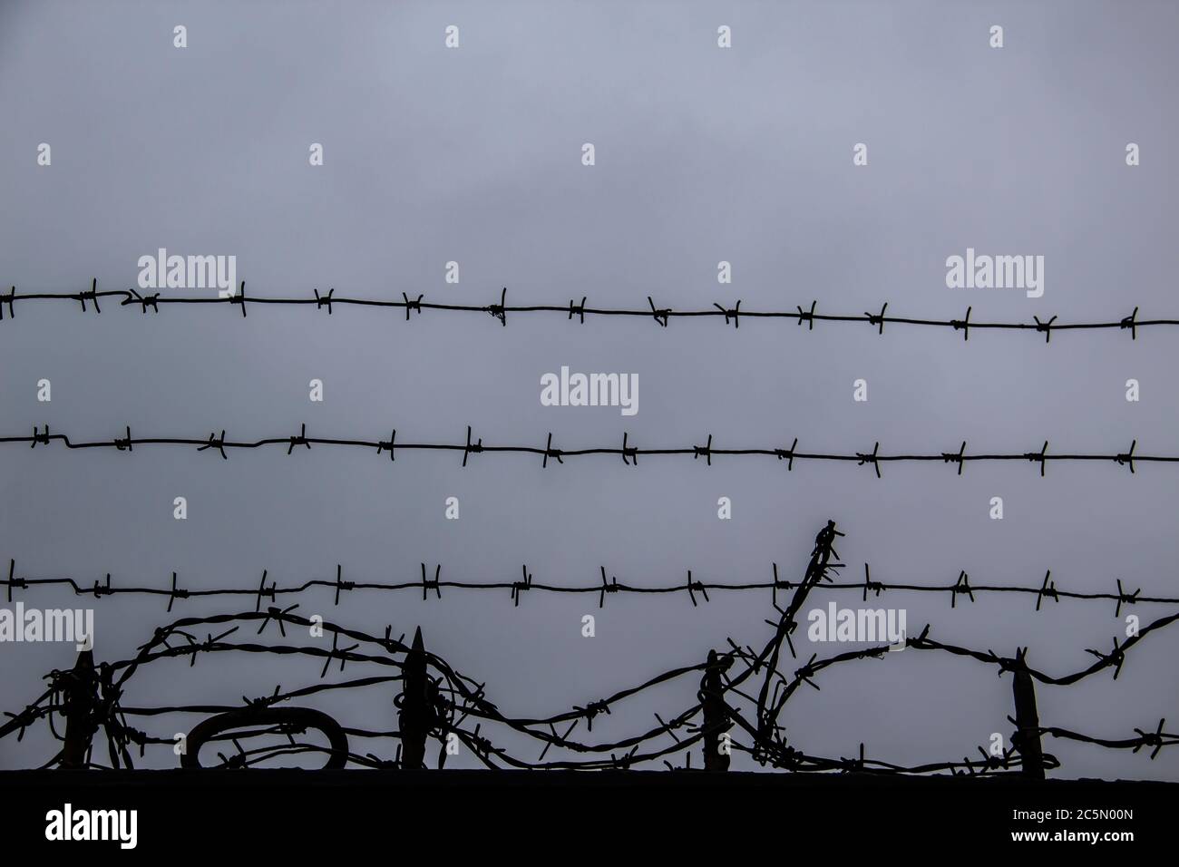 barbed wire fence on against grey sky background. Stock Photo