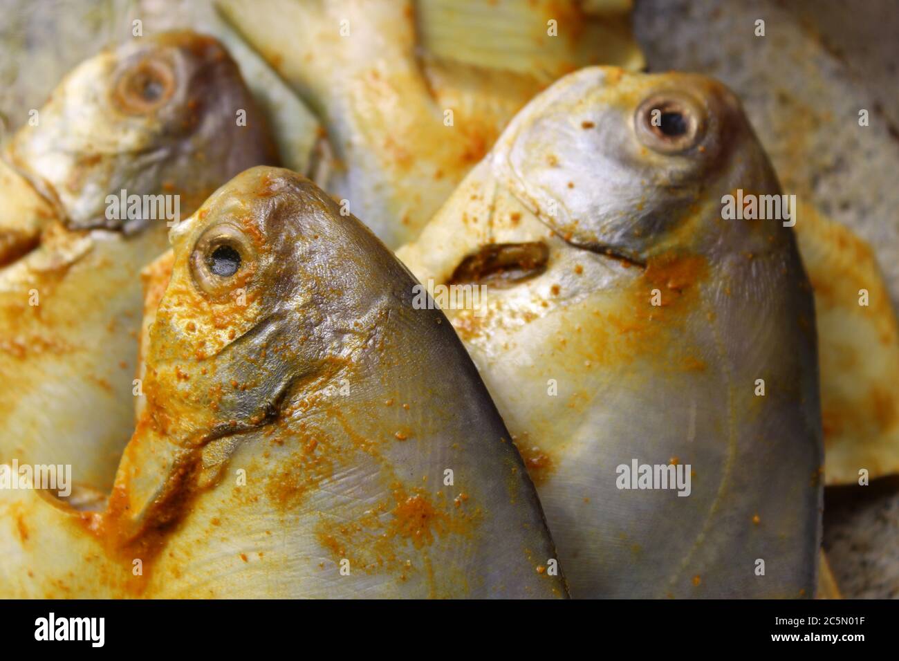 Silver pomfret fish hires stock photography and images Alamy