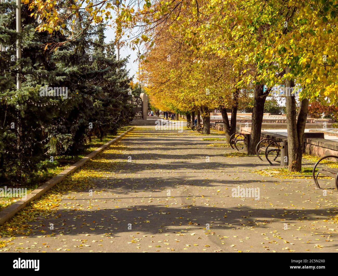 Golden autumn alley of the park in sunny day Stock Photo - Alamy