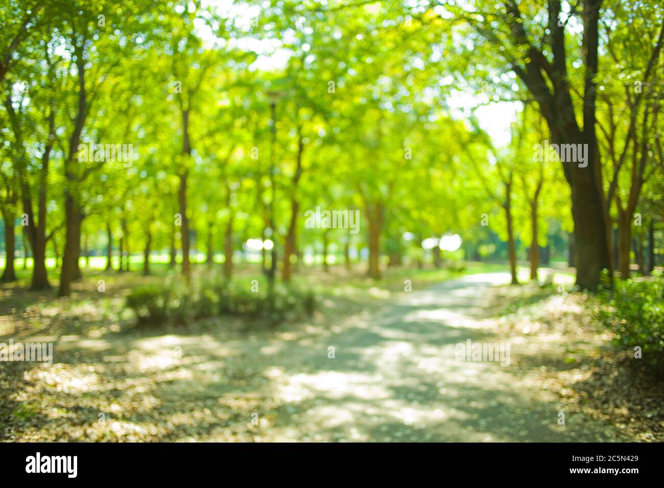 green park blur bokeh background Stock Photo - Alamy