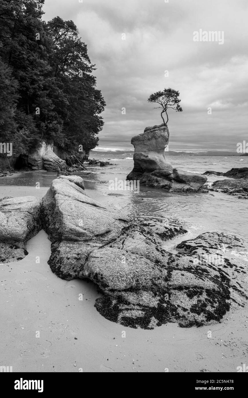 Tasman bay new zealand Black and White Stock Photos & Images - Alamy