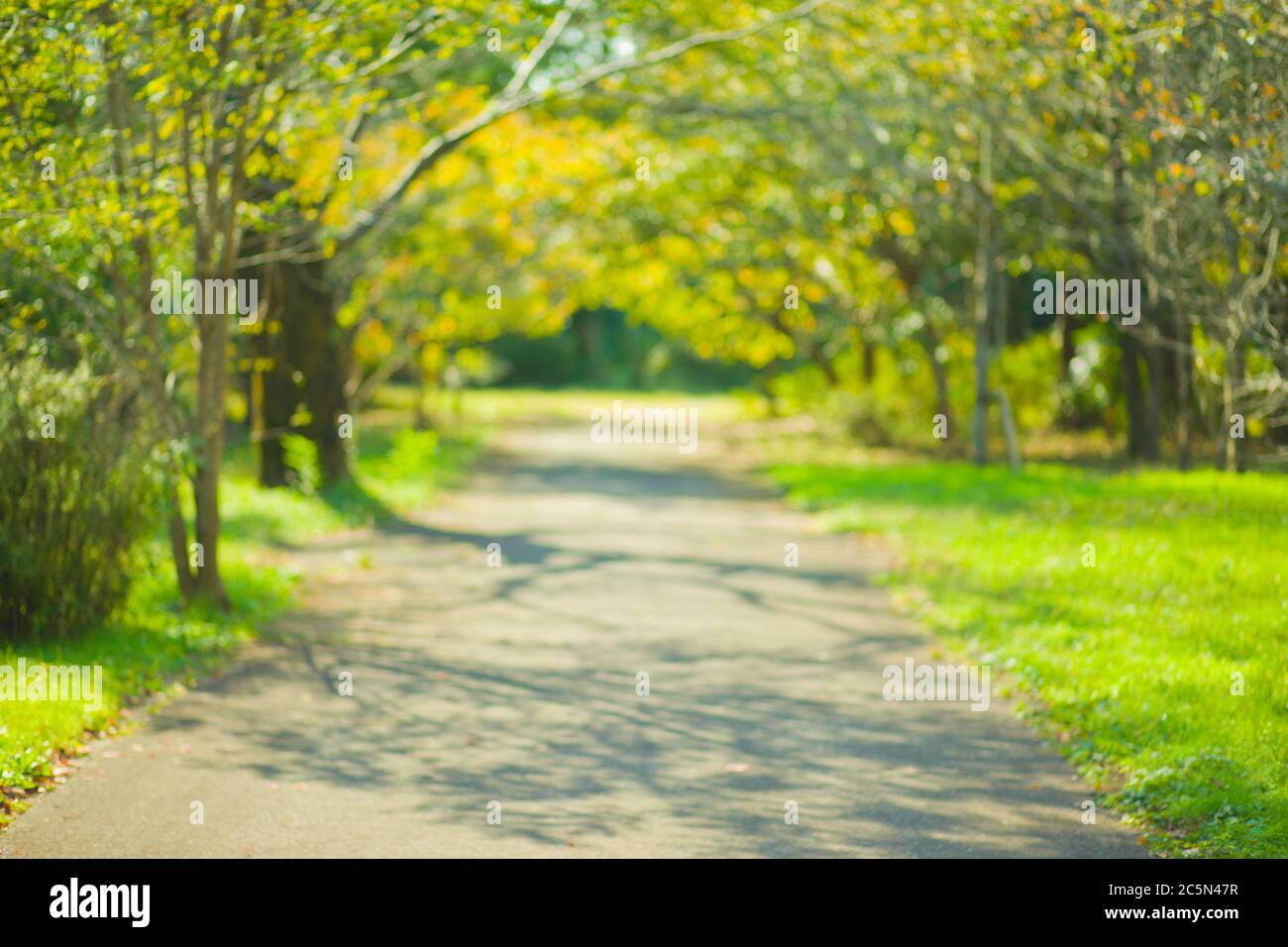 Park background hi-res stock photography and images - Alamy