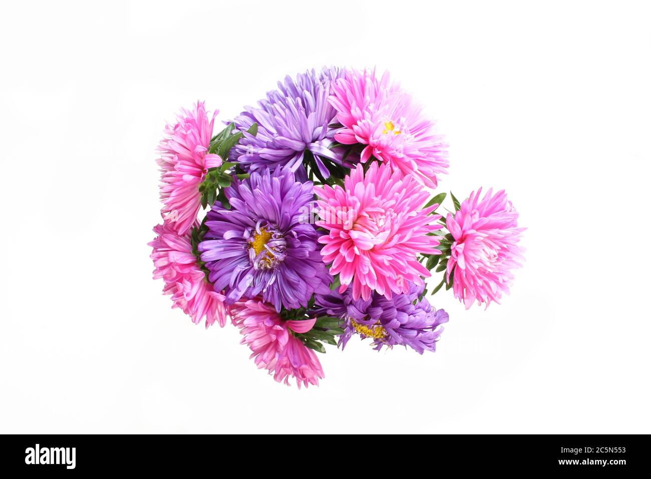 Callistephus chinensis. Pink and purple aster flowers bouquet isolated on white background. Top view Stock Photo