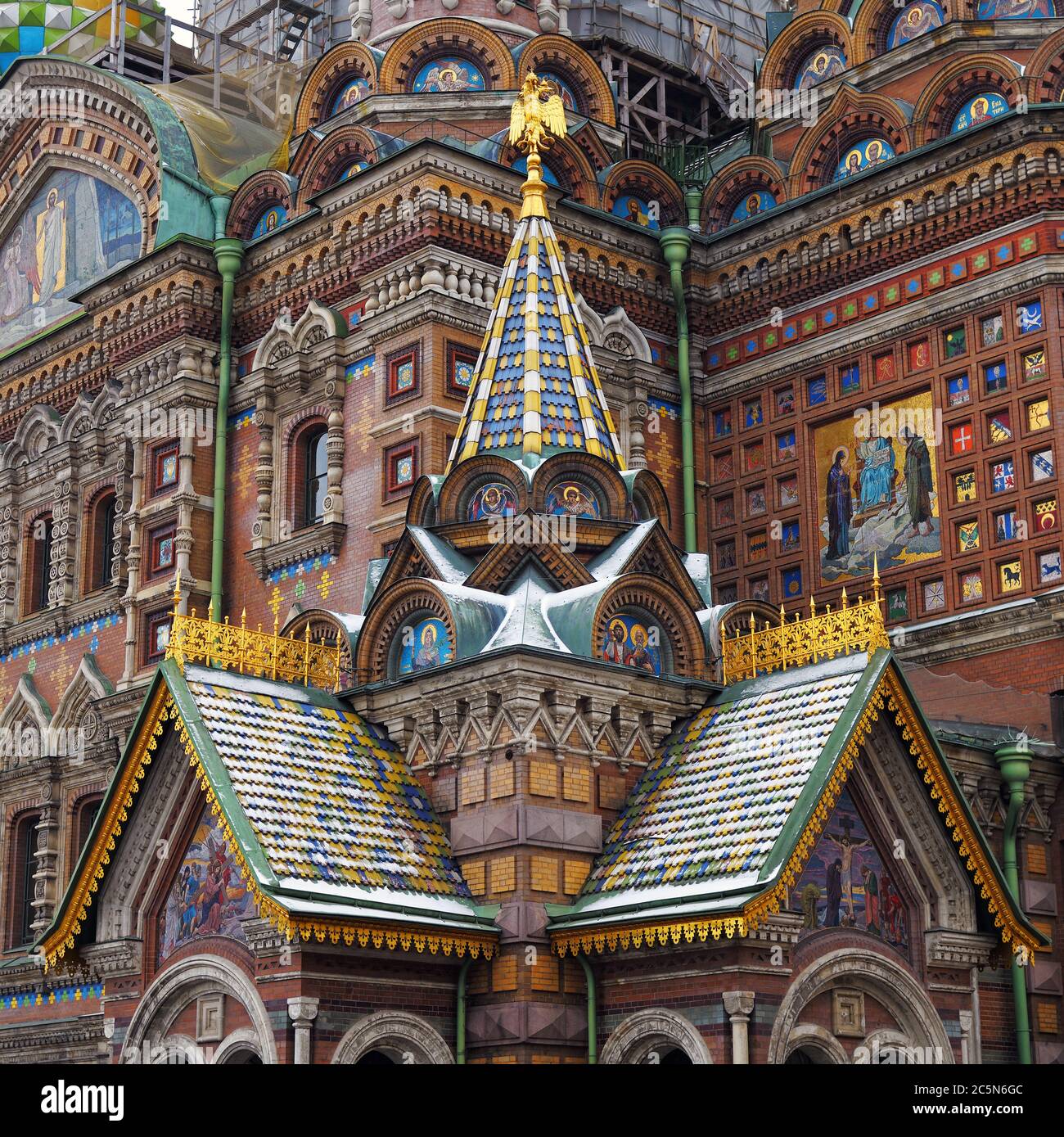 My Image 22